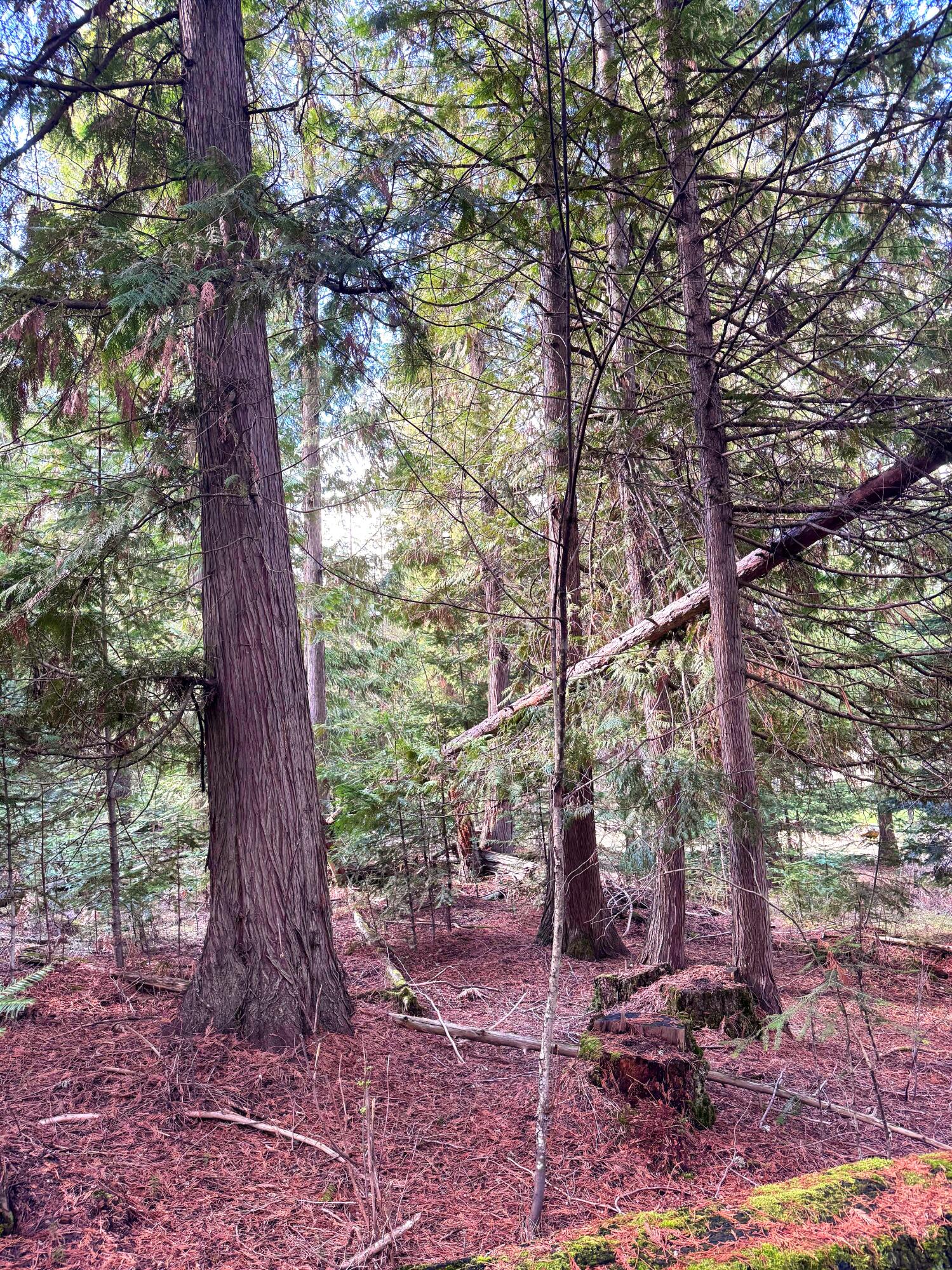 
                        Property photograph at
                        2XXX BLK E ELOIKA LAKE RD
                      