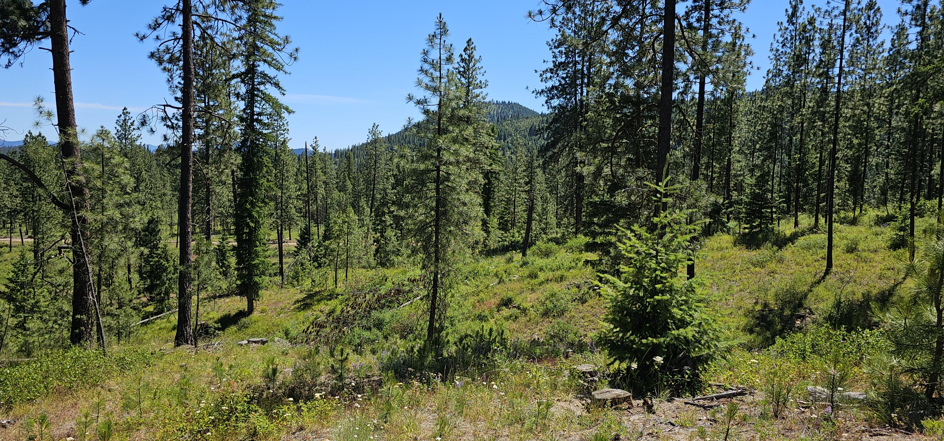 
                        Property photograph at
                        20X LYNX CREEK RD
                      