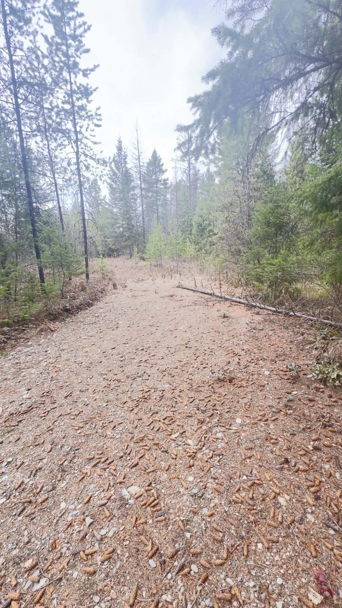 
                        Property photograph at
                        NKN WILDERNESS AVE
                      