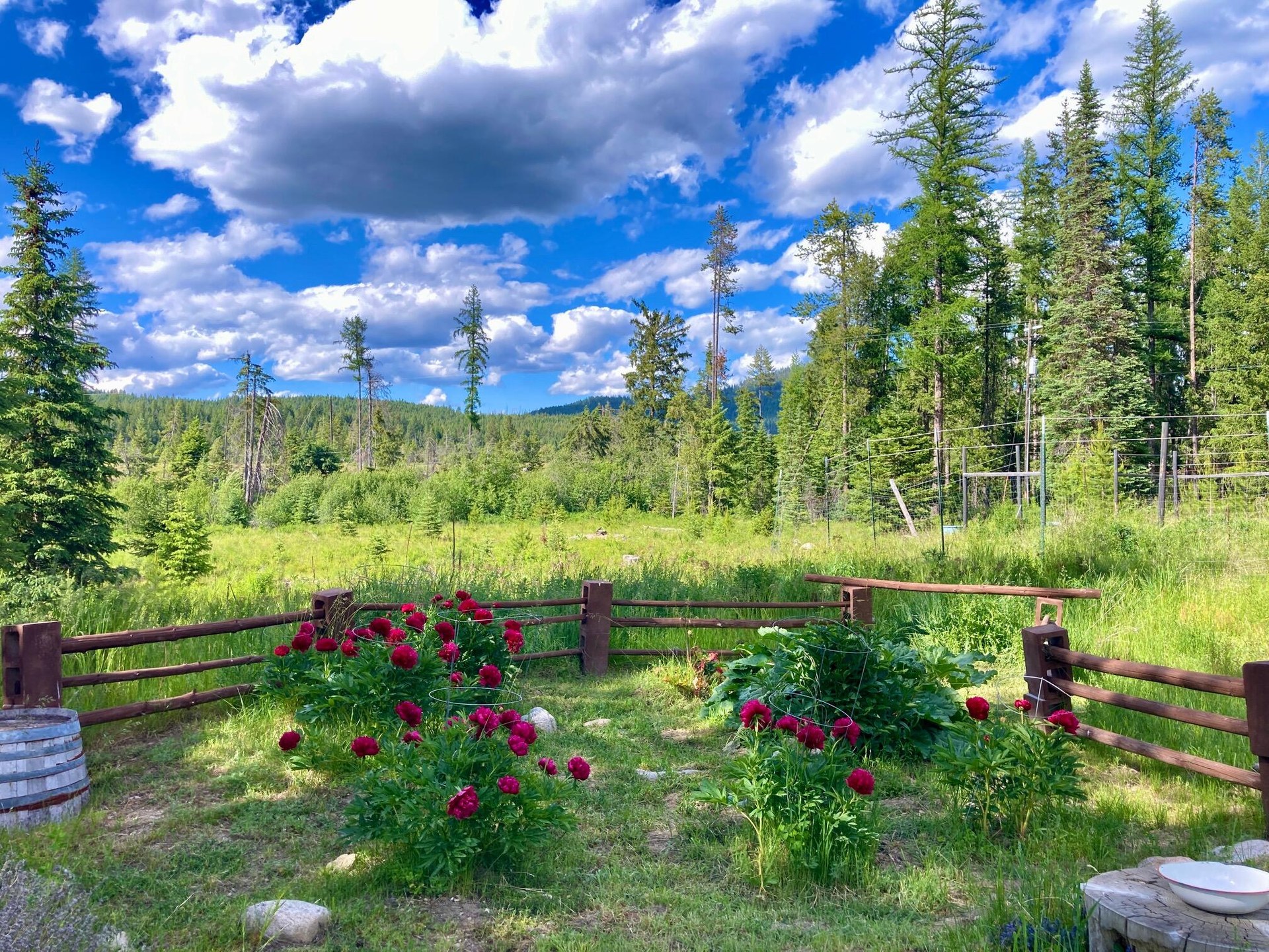 
                        Property photograph at
                        1496 Q HIGHWAY 20 E
                      