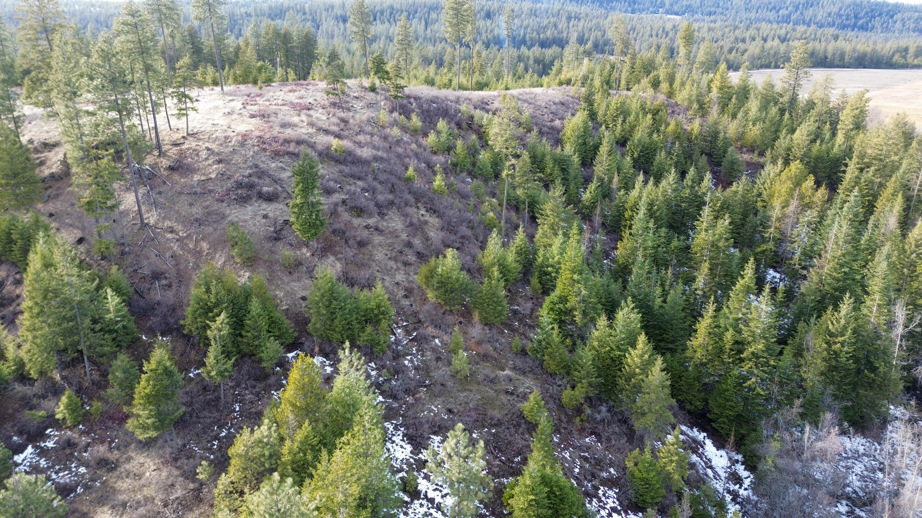 
                        Property photograph at
                        35XX HARMS WAY
                      