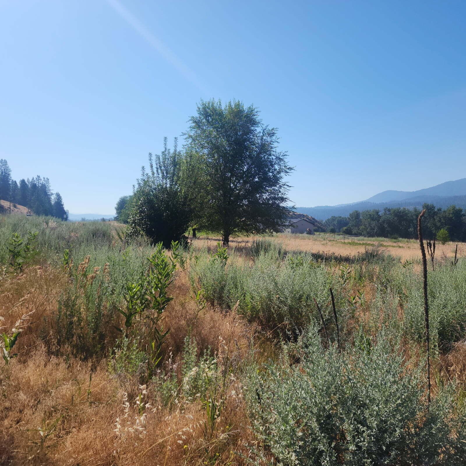 
                        Property photograph at
                        XXX HWY 395
                      