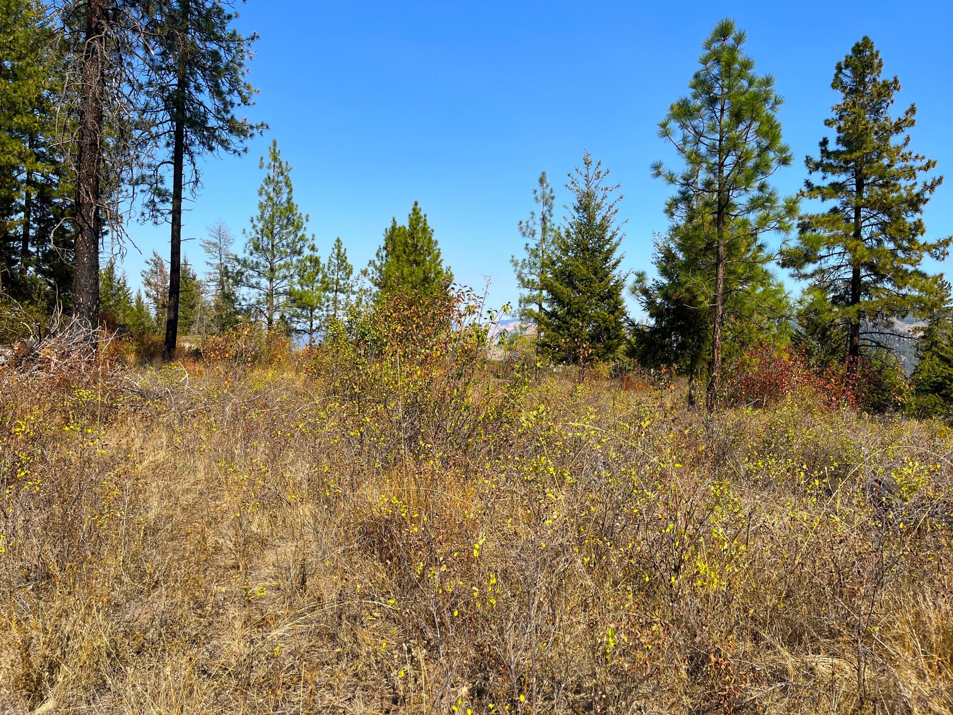 
                        Property photograph at
                        TRACT 2 COWBOYS AND ANGELS AVE
                      