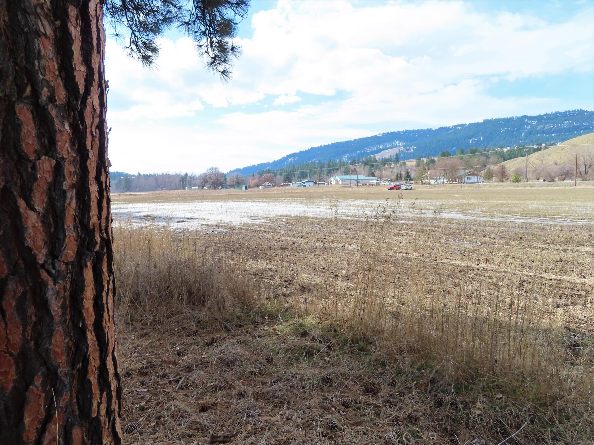 
                        Property photograph at
                        TBD HIGHWAY 21 N
                      