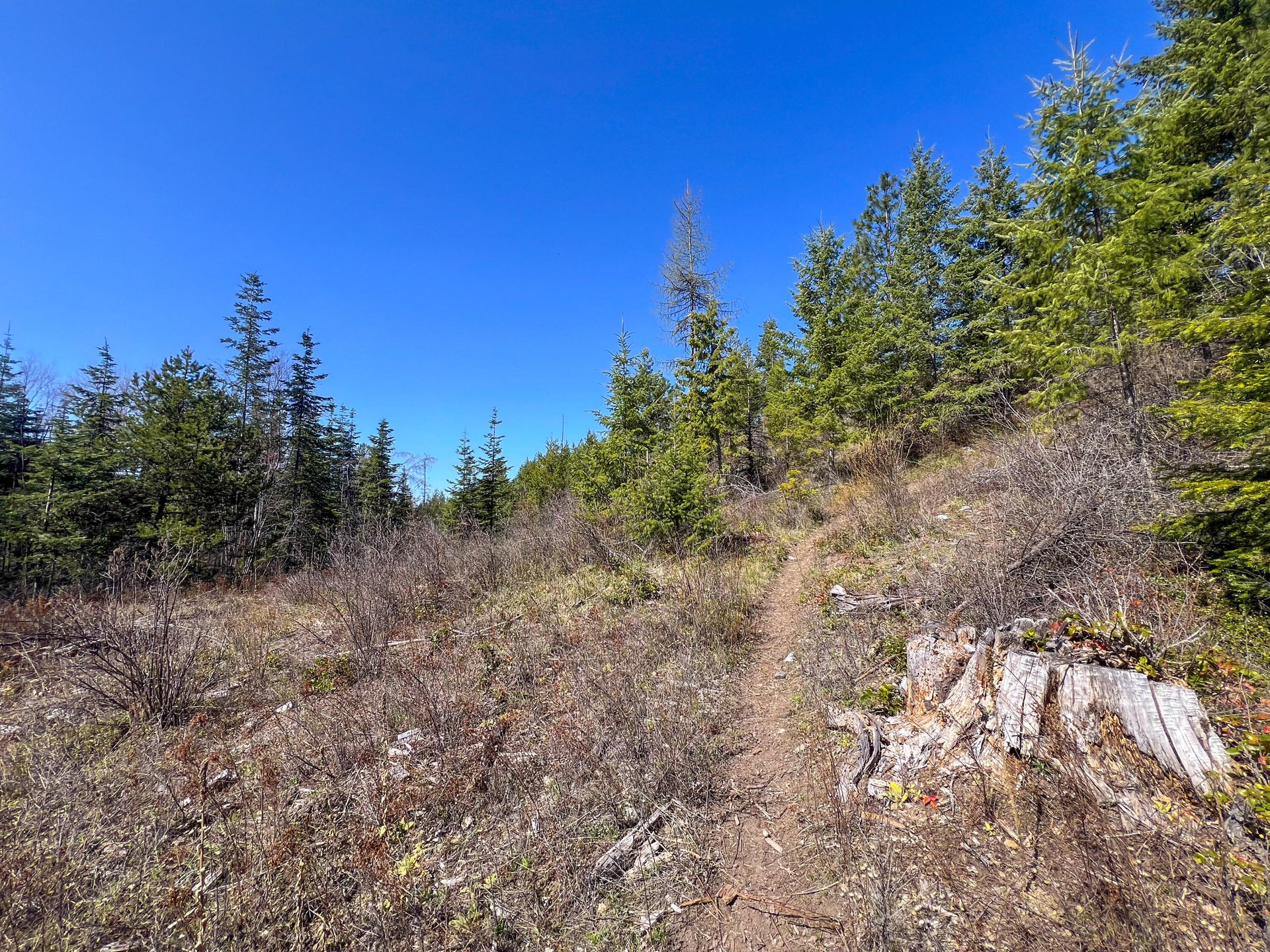 
                        Property photograph at
                        26XX FLOWERY TRAIL RD
                      