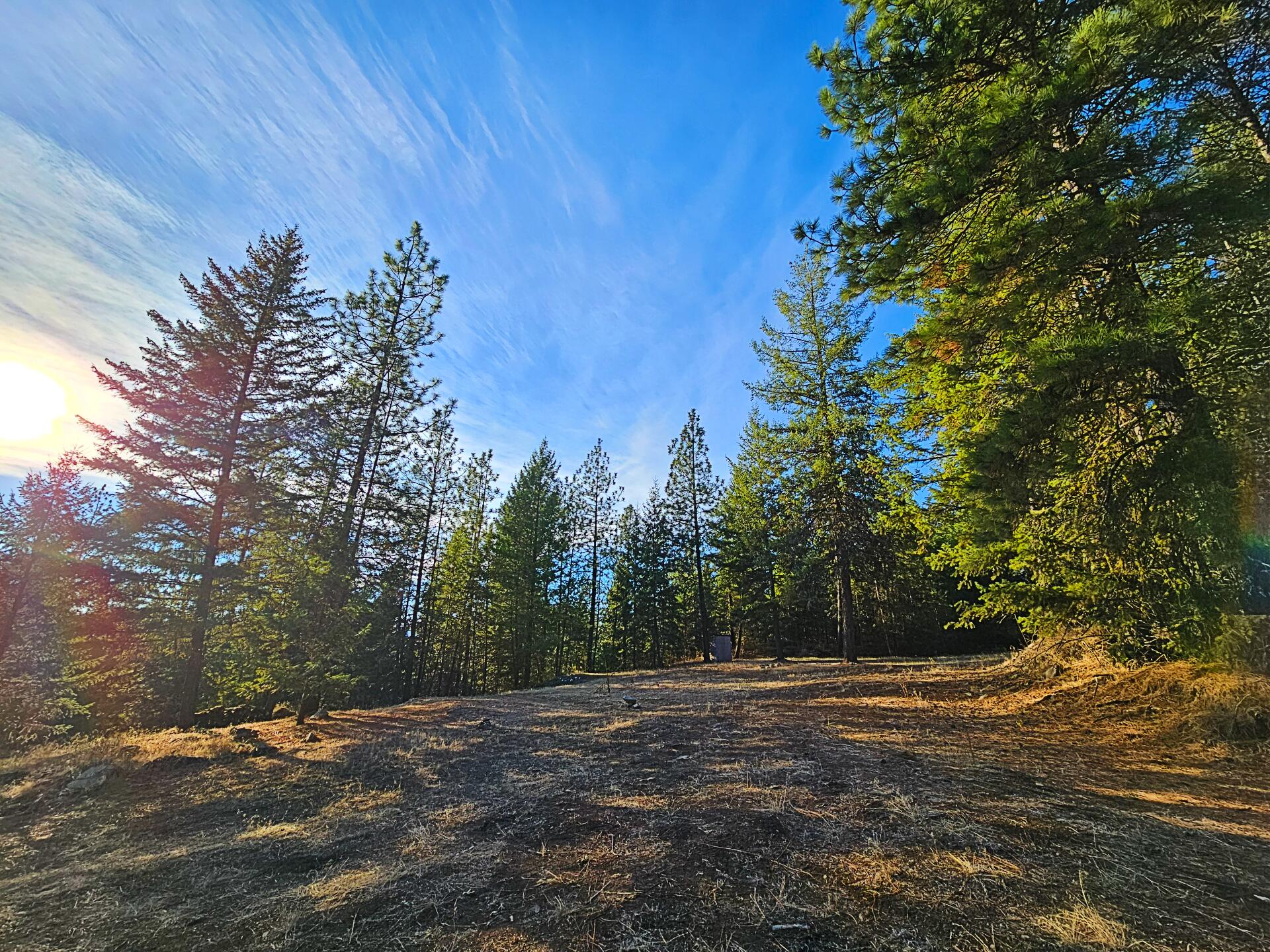 
                        Property photograph at
                        1631Q BONANZA HILL RD N
                      