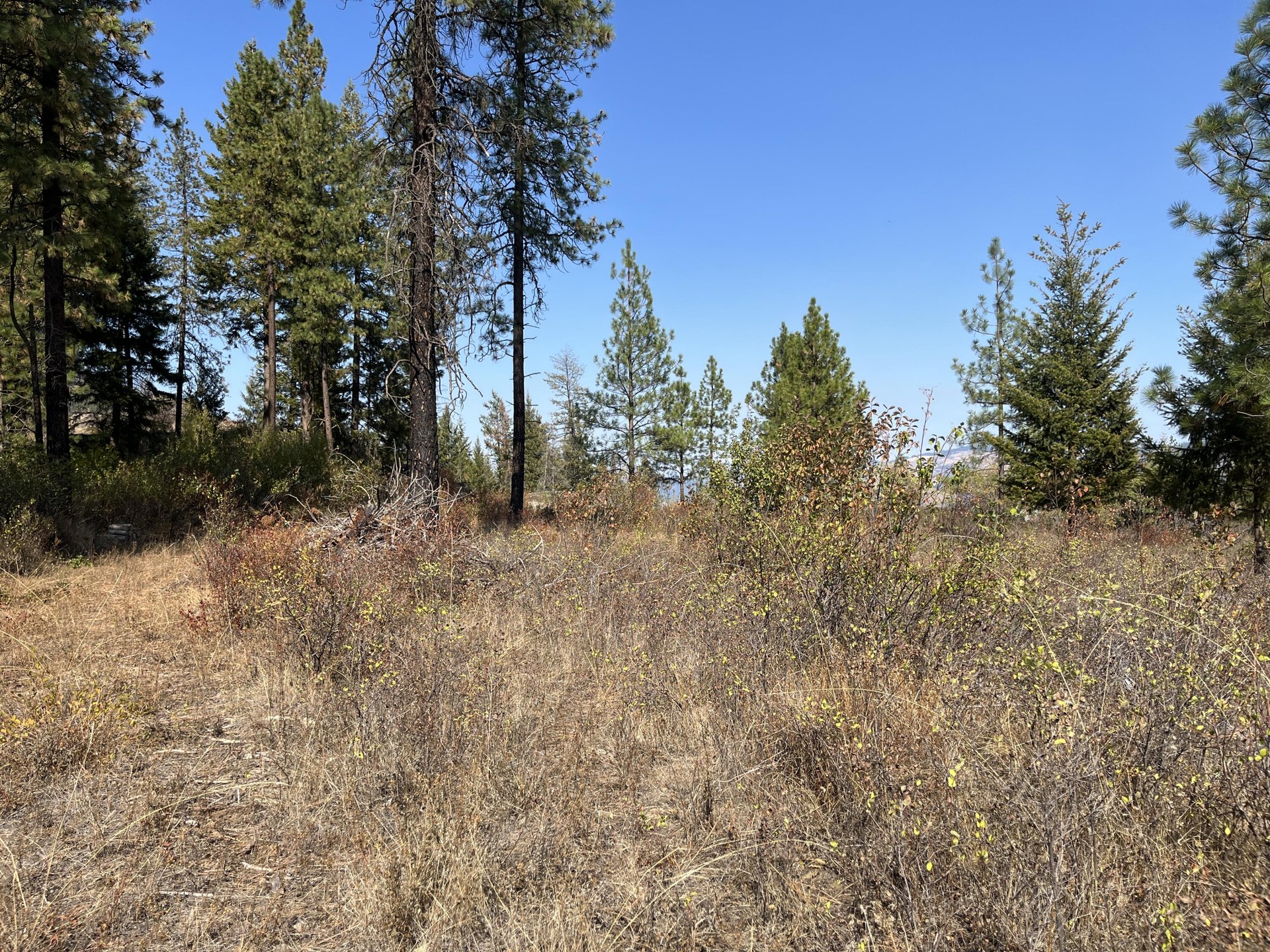 
                        Property photograph at
                        TRACT 2 COWBOYS AND ANGELS AVE
                      