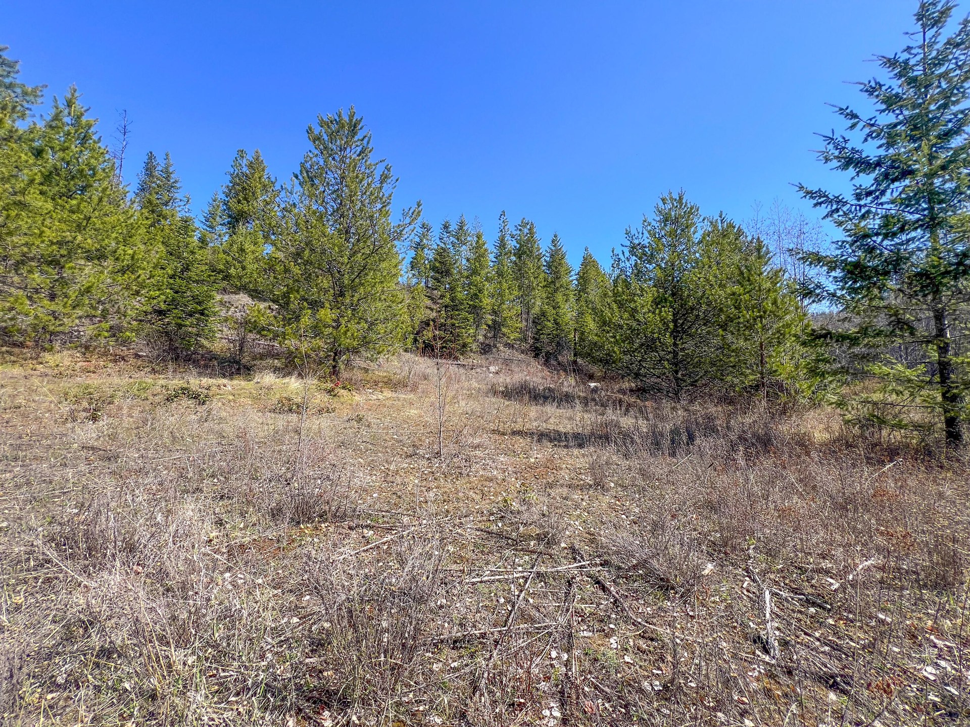 
                        Property photograph at
                        26XX FLOWERY TRAIL RD
                      