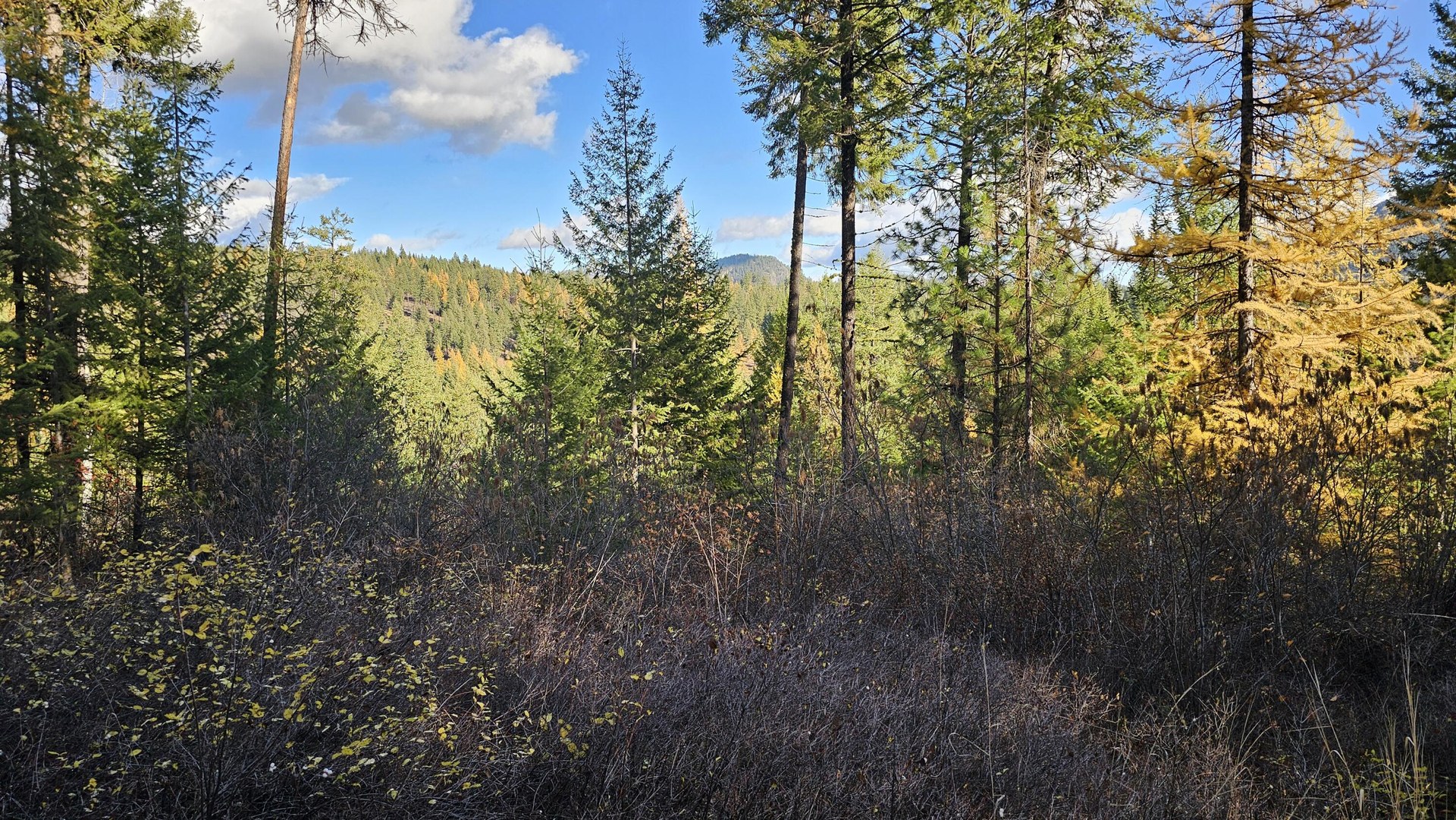 
                        Property photograph at
                        700 DRY GULCH RD
                      