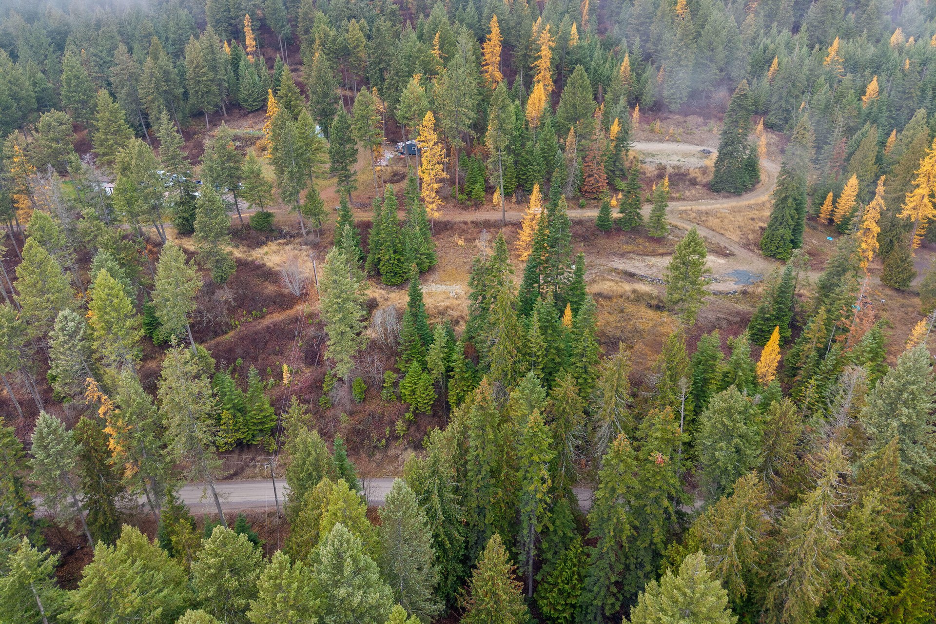 
                        Property photograph at
                        717 B FINLEY GULCH RD
                      