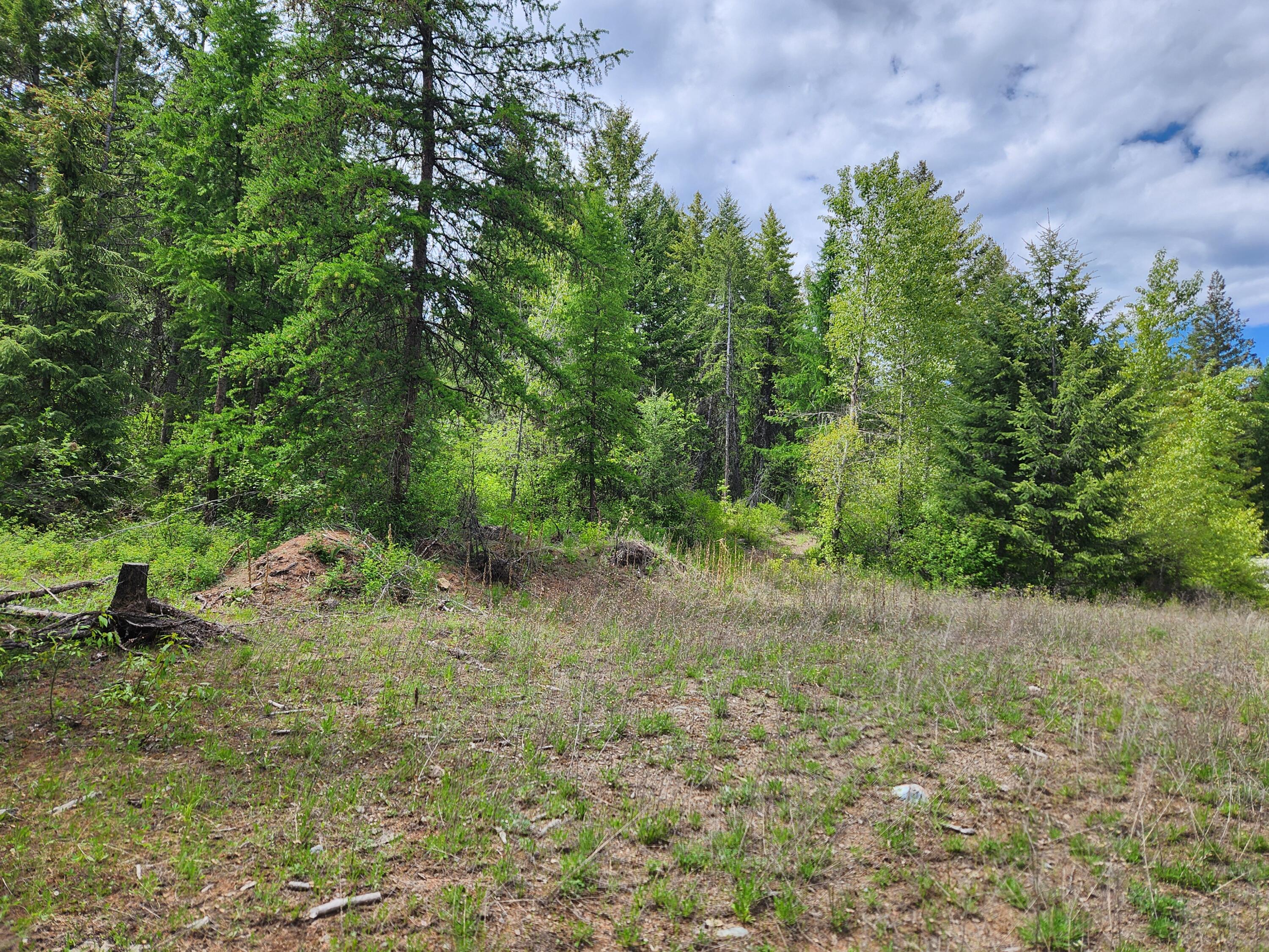 
                        Property photograph at
                        318 ROCKABYE LN
                      