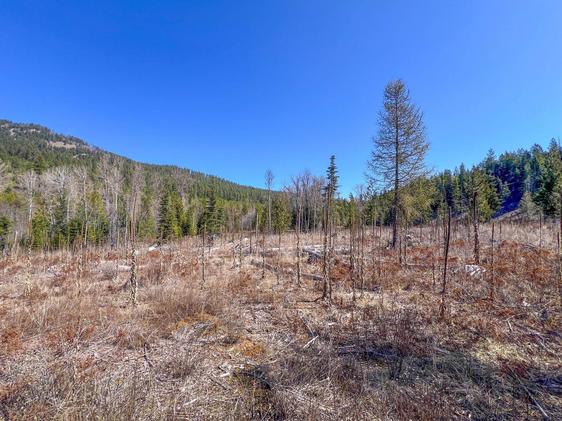 
                        Property photograph at
                        26XX FLOWERY TRAIL RD
                      