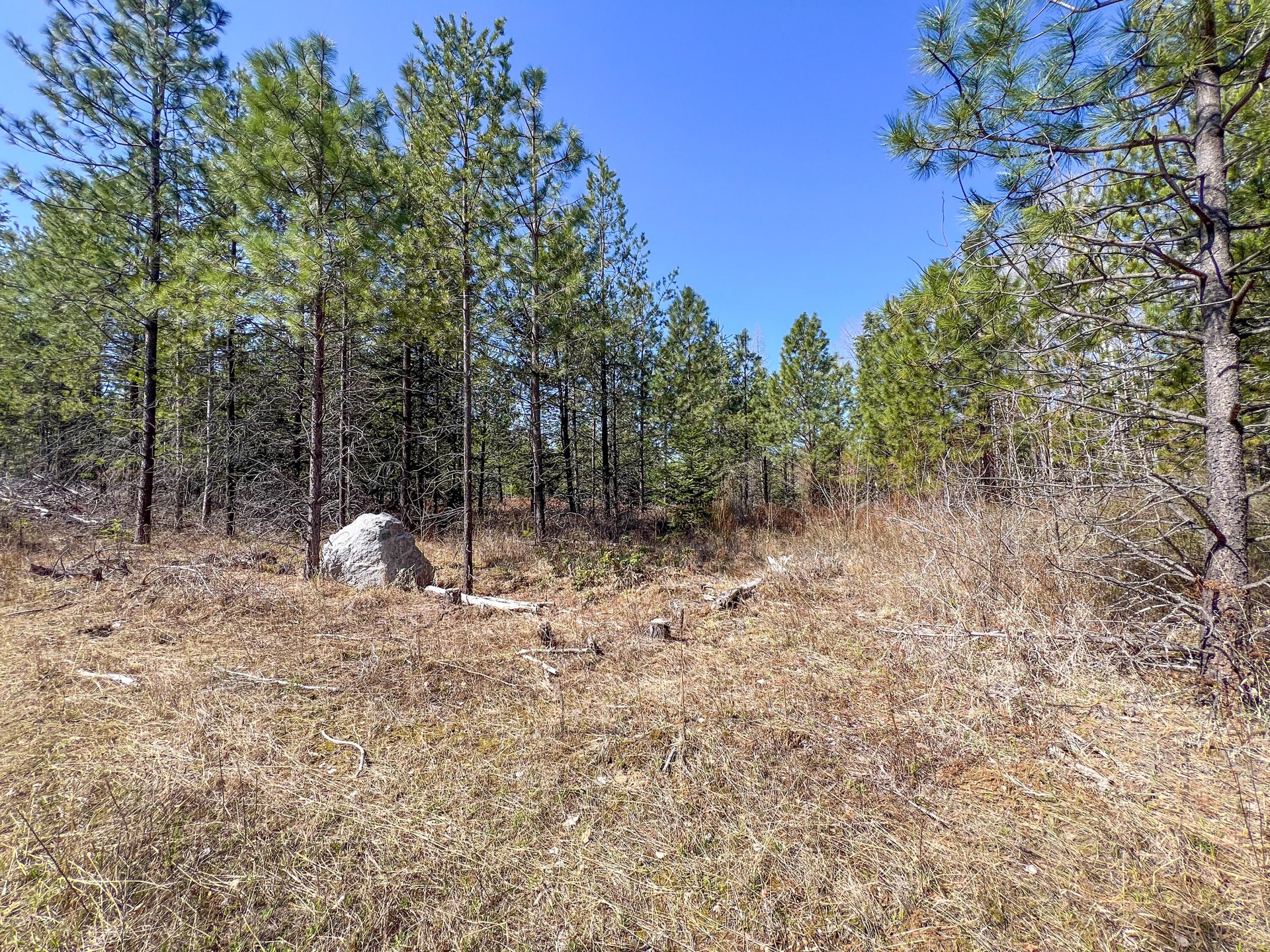 
                        Property photograph at
                        26XX FLOWERY TRAIL RD
                      