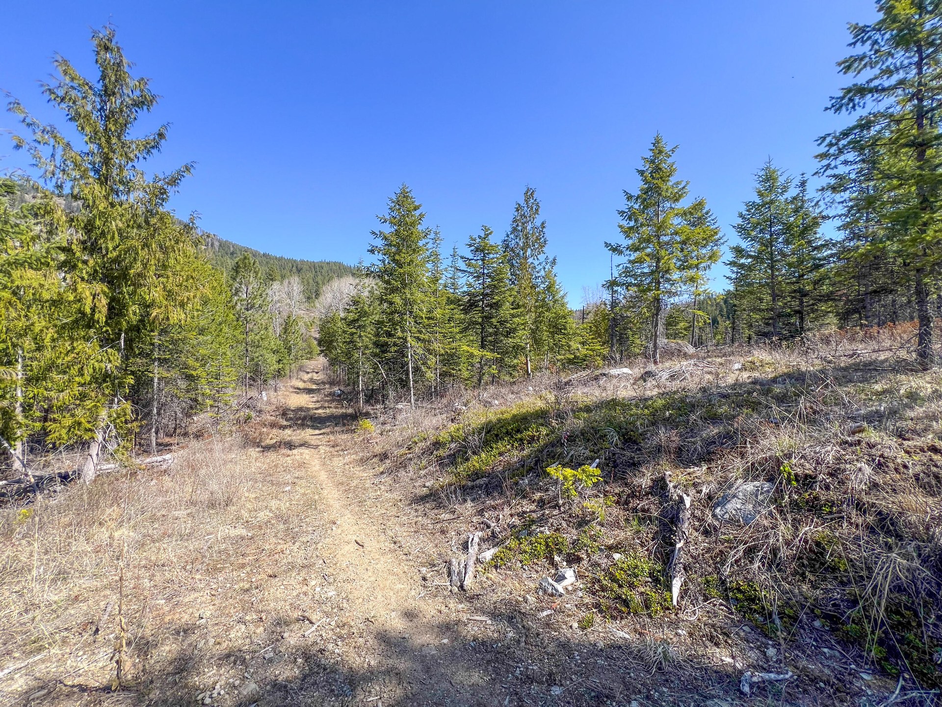 
                        Property photograph at
                        26XX FLOWERY TRAIL RD
                      