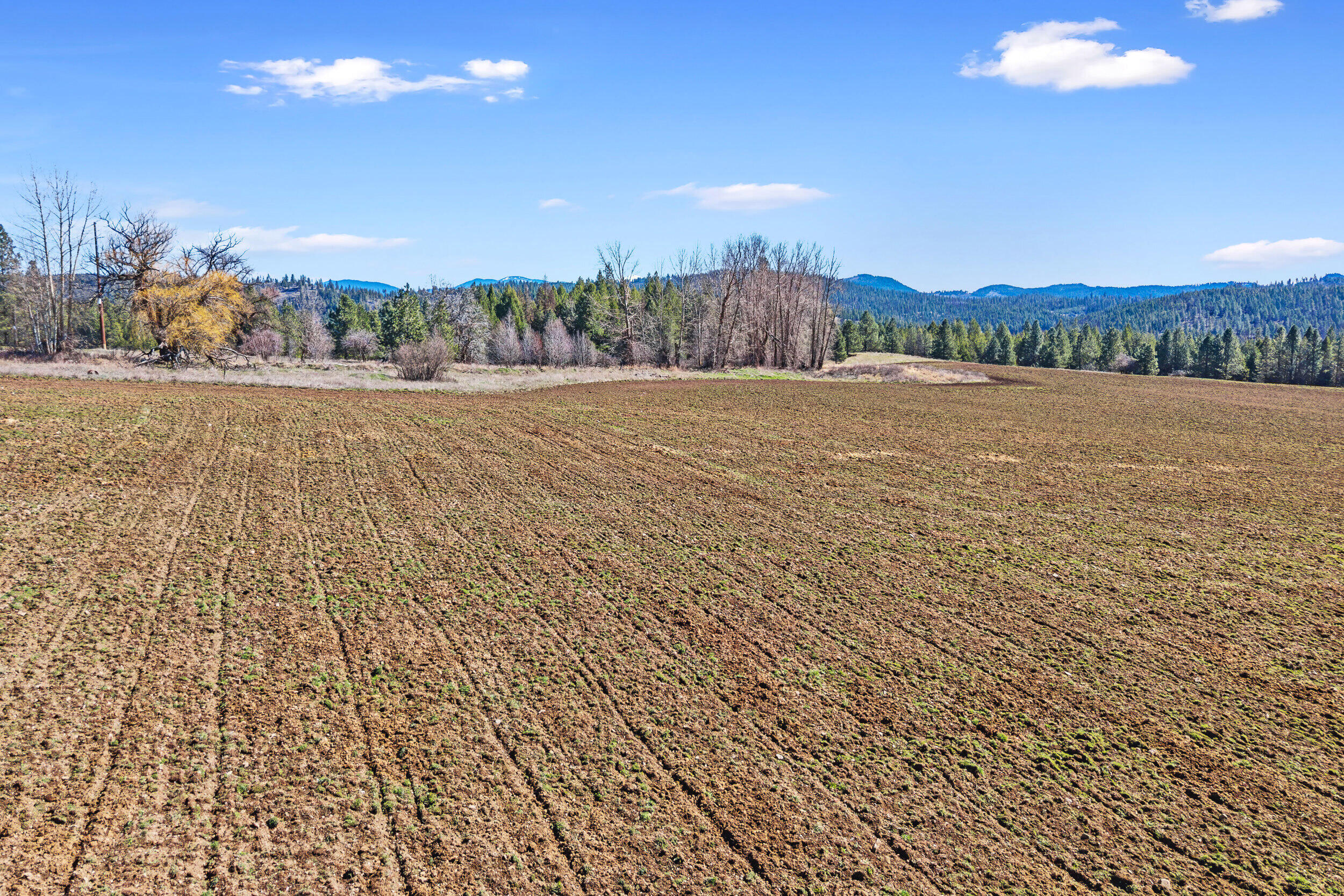 
                        Property photograph at
                        2068 ADDY-GIFFORD RD
                      