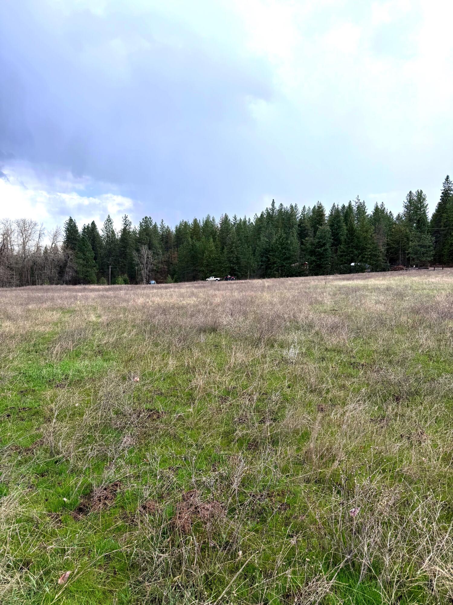 
                        Property photograph at
                        2XXX BLK E ELOIKA LAKE RD
                      