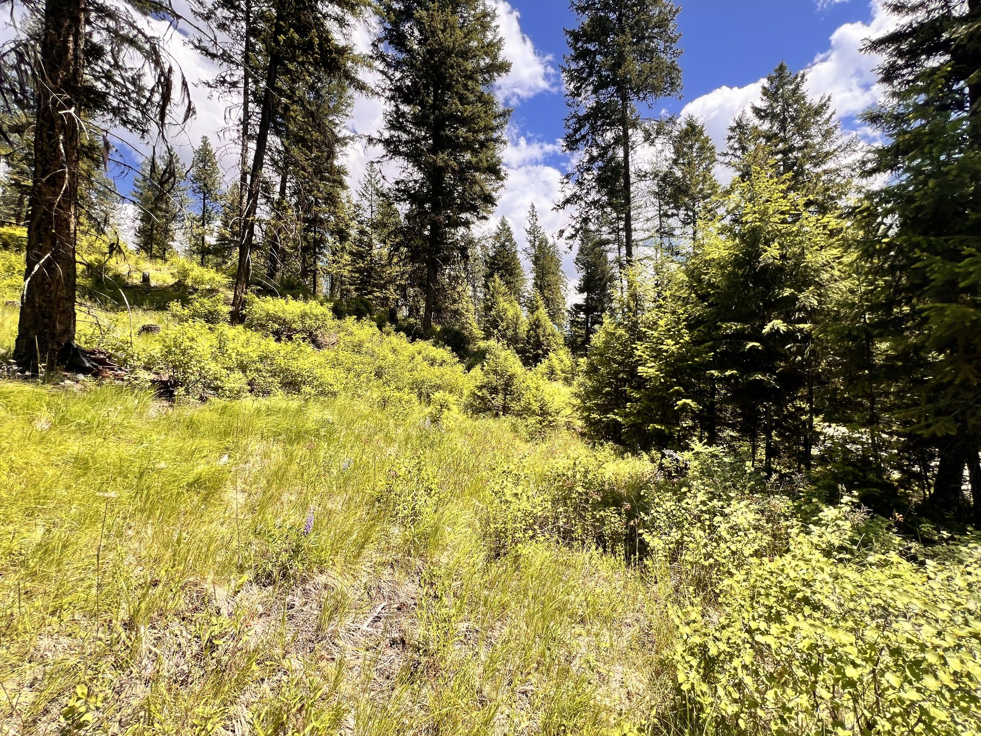 
                        Property photograph at
                        TBD OLD KETTLE FALLS RD
                      
