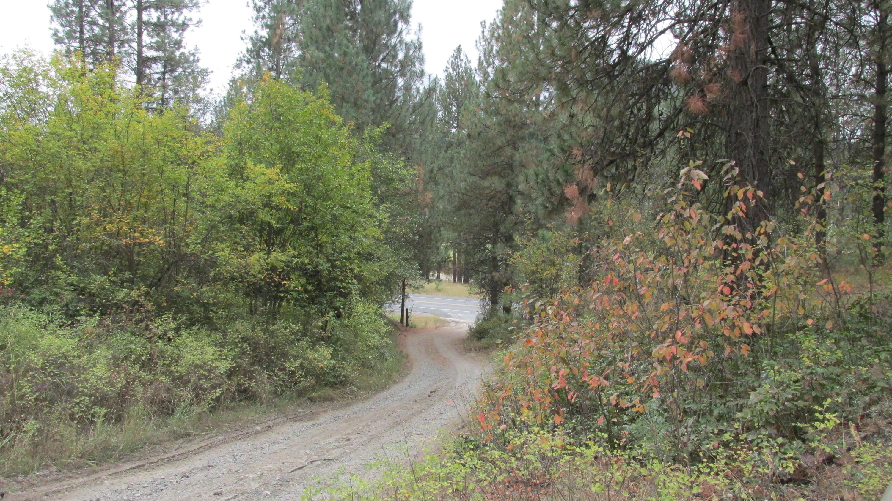 
                        Property photograph at
                        1525 HIGHWAY 395 S
                      