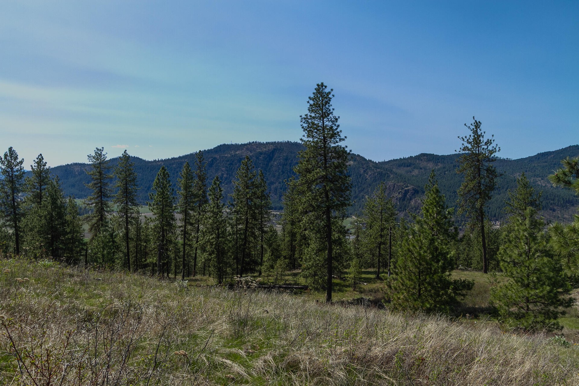 
                        Property photograph at
                        1622 PALMER LOOP
                      