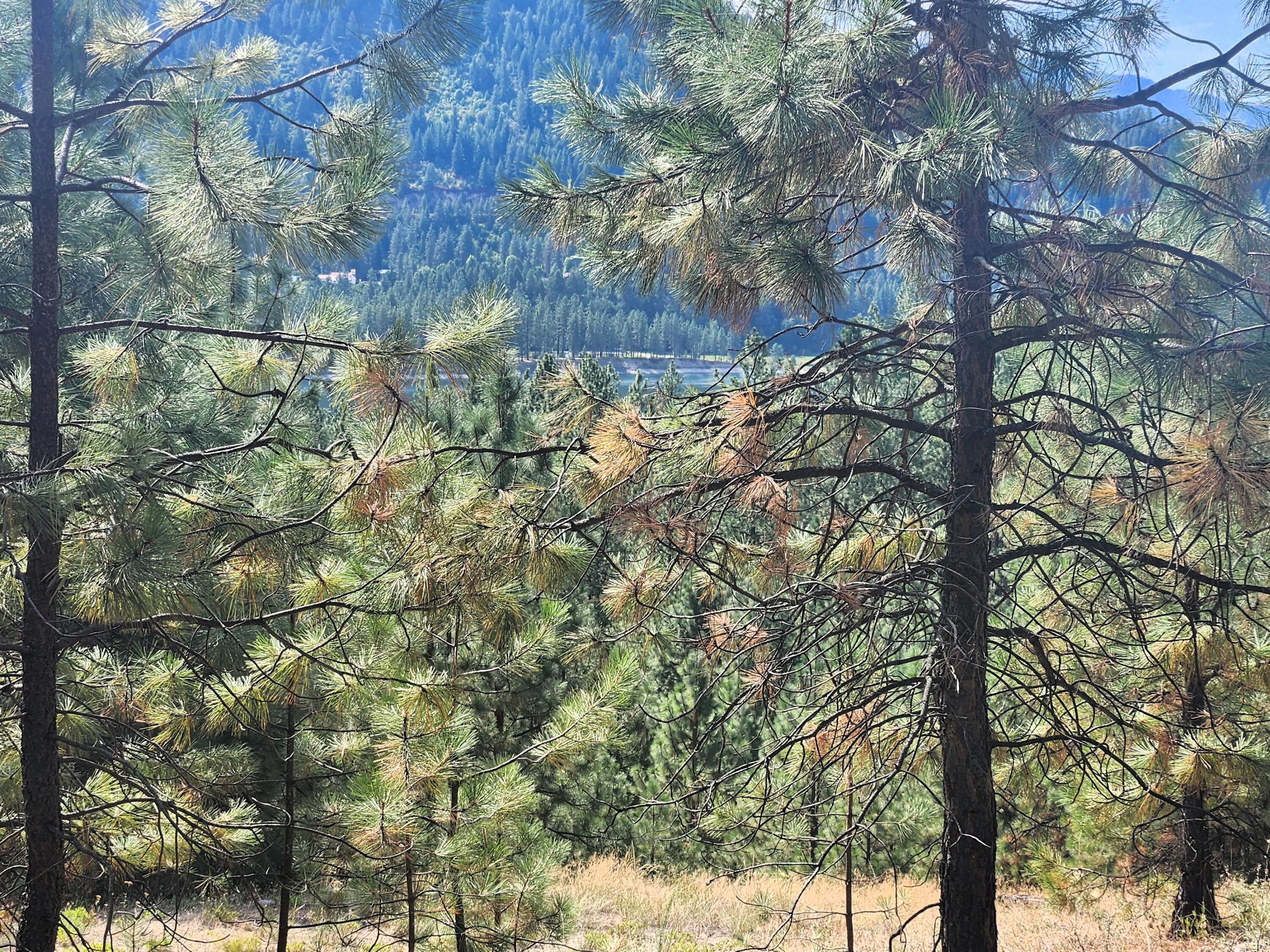 
                        Property photograph at
                        1866 K NORTHPORT FLAT CREEK RD
                      