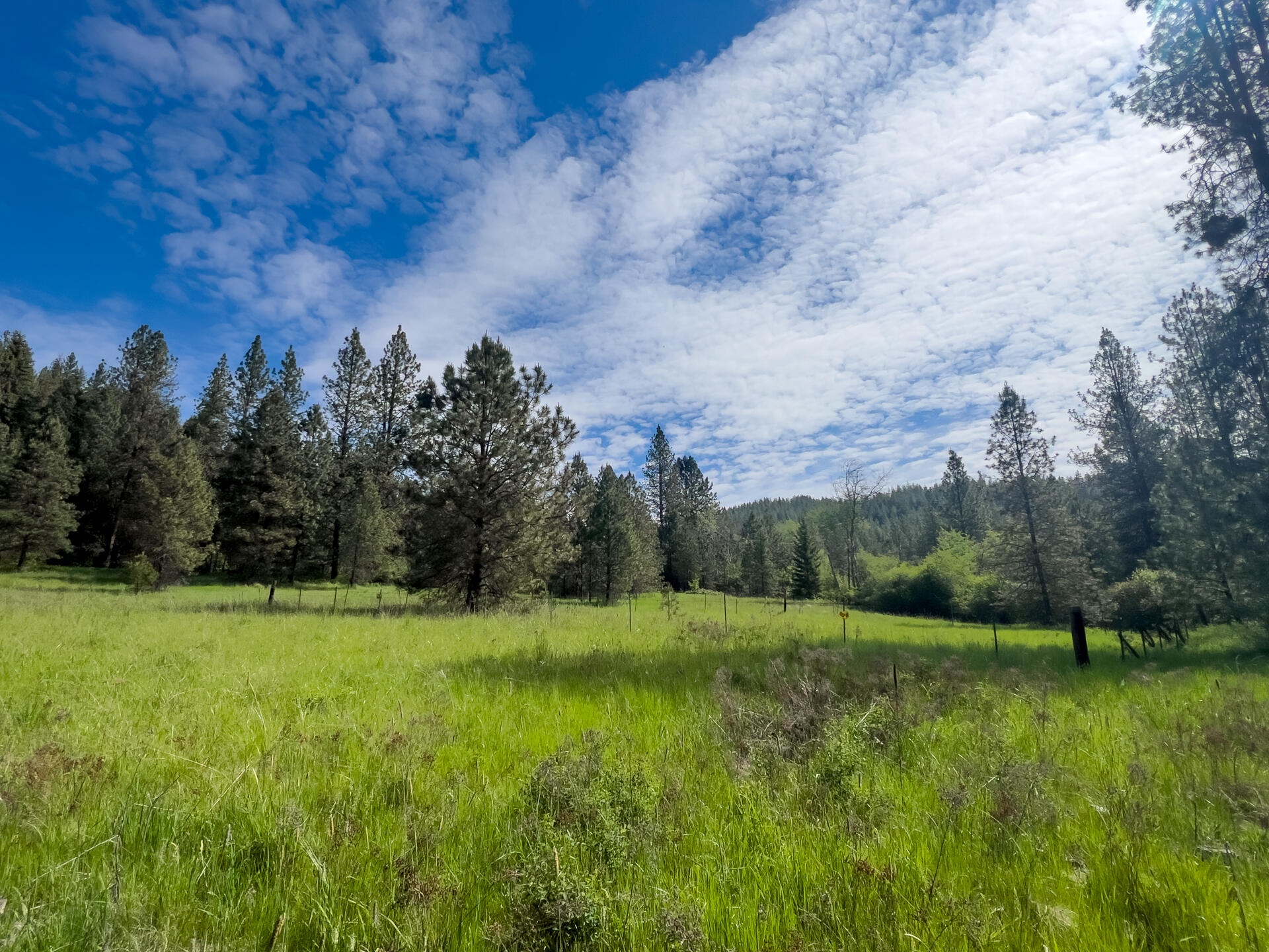 
                        Property photograph at
                        1763-I U.S. 395
                      
