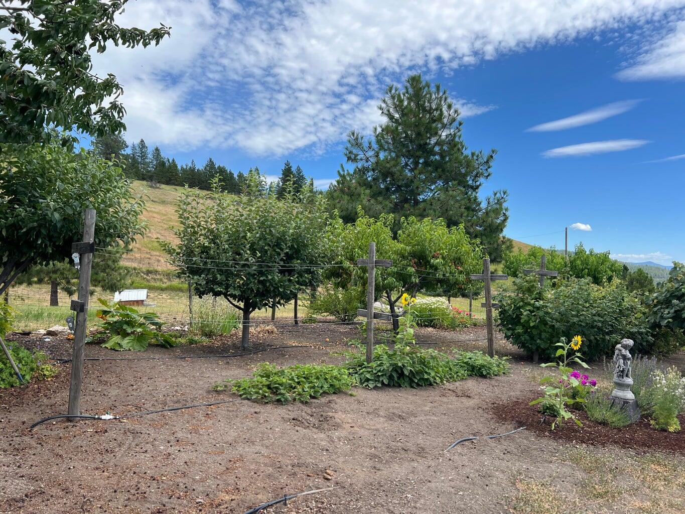 
                        Property photograph at
                        717 CONRAD HILL WAY
                      