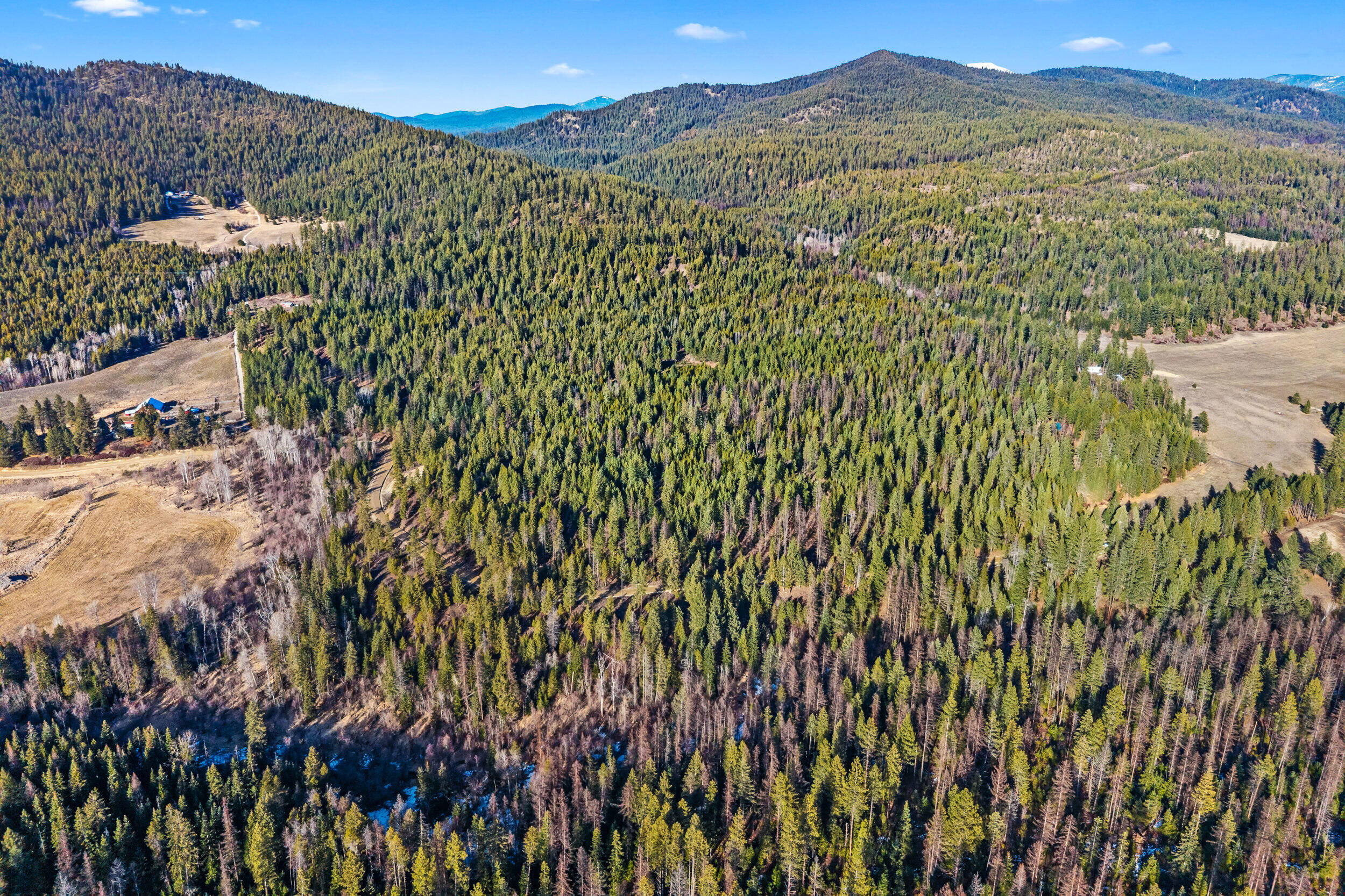 
                        Property photograph at
                        2845 BURNT VALLEY (18.5AC) RD
                      
