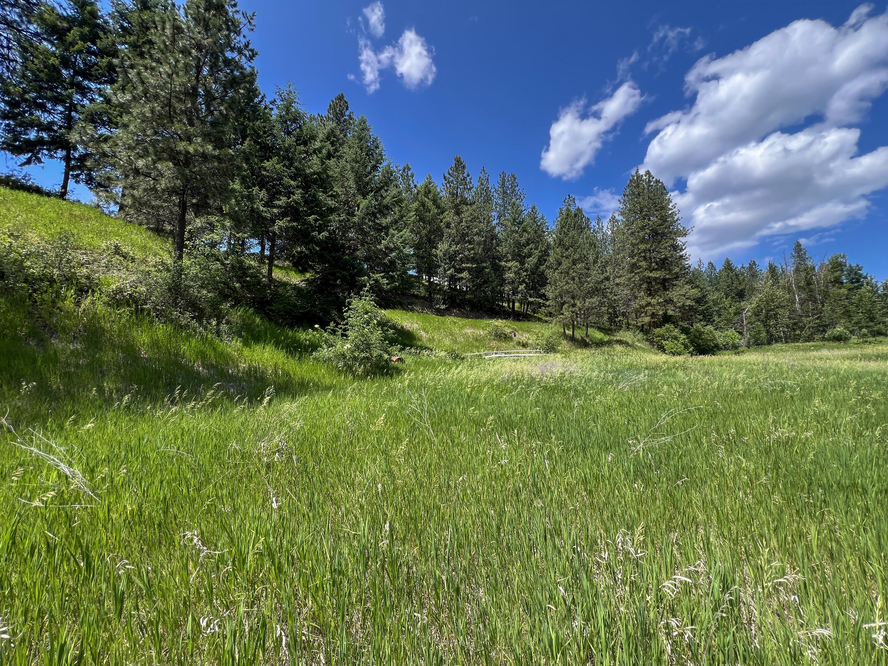 
                        Property photograph at
                        598 N HWY 395
                      