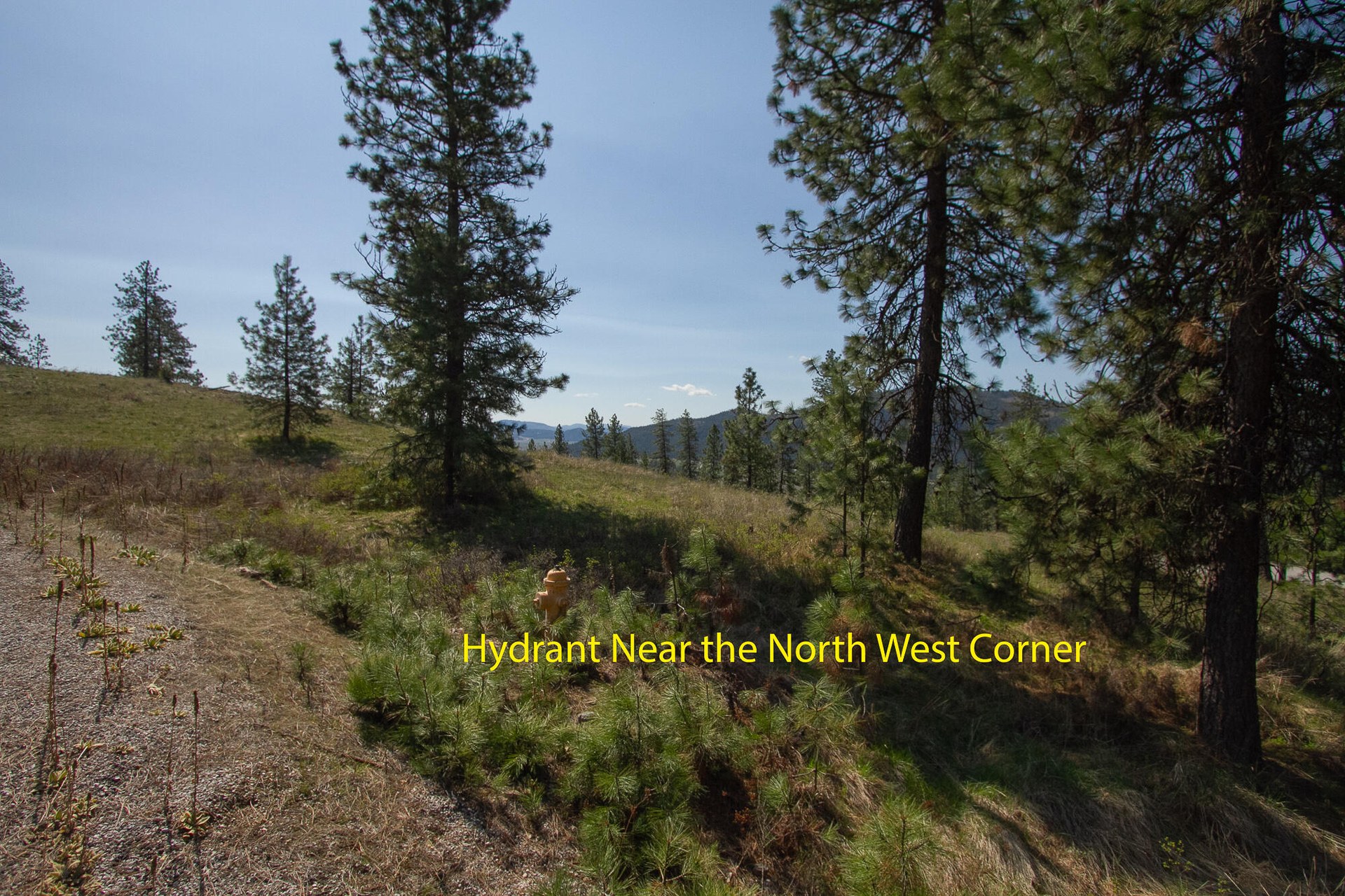 
                        Property photograph at
                        1622 PALMER LOOP
                      
