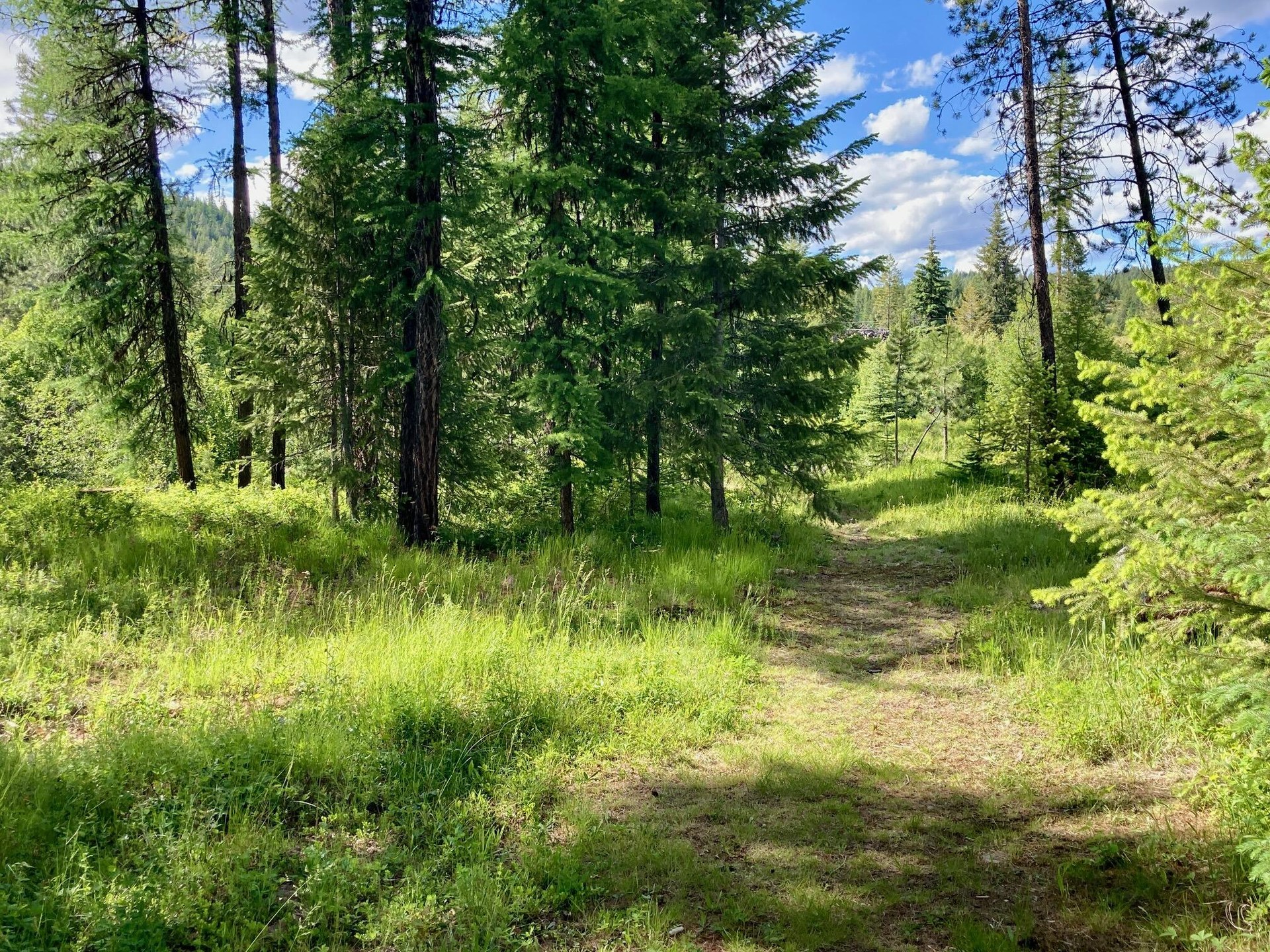 
                        Property photograph at
                        1496 Q HIGHWAY 20 E
                      
