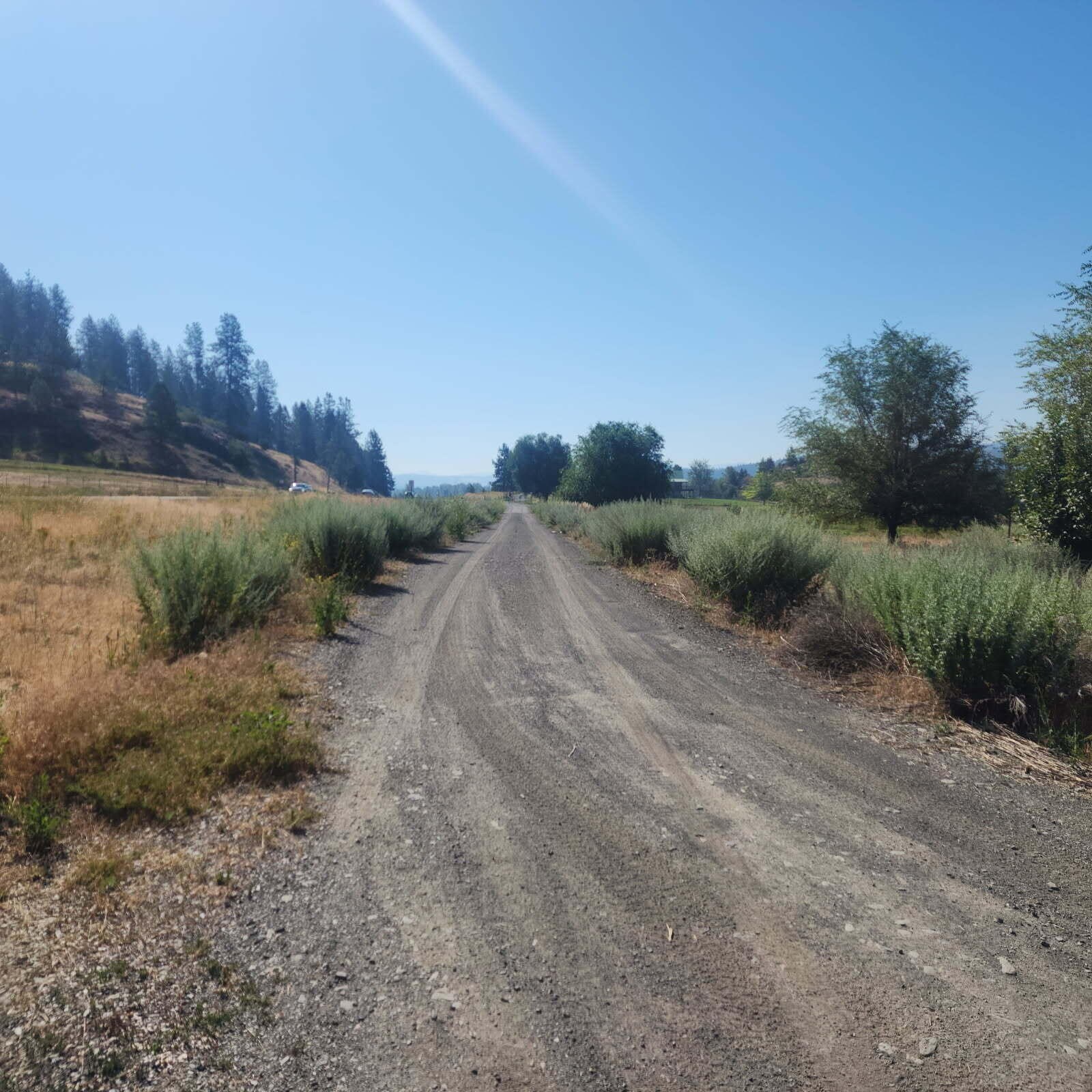 
                        Property photograph at
                        XXX HWY 395
                      