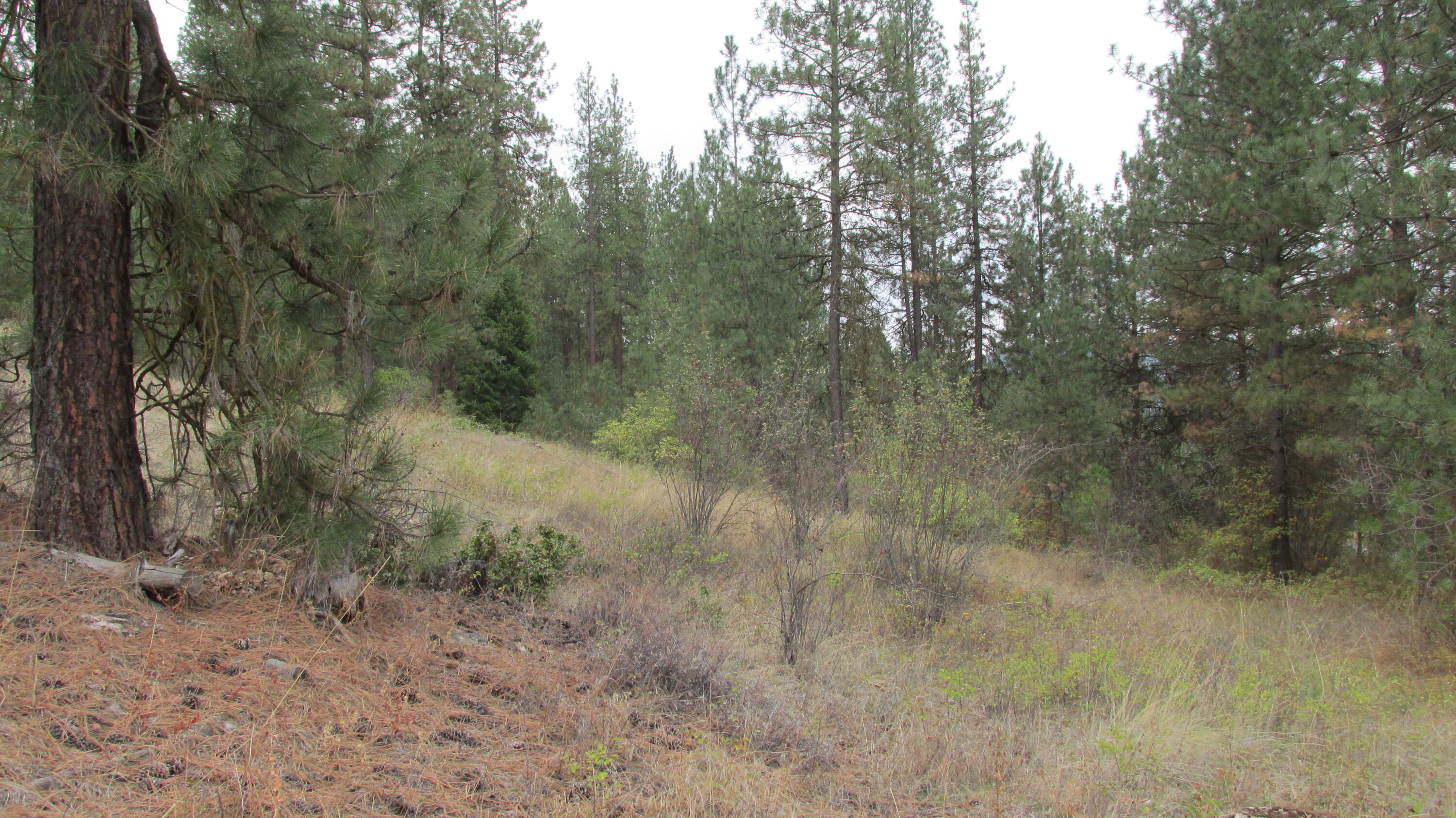 
                        Property photograph at
                        1525 HIGHWAY 395 S
                      