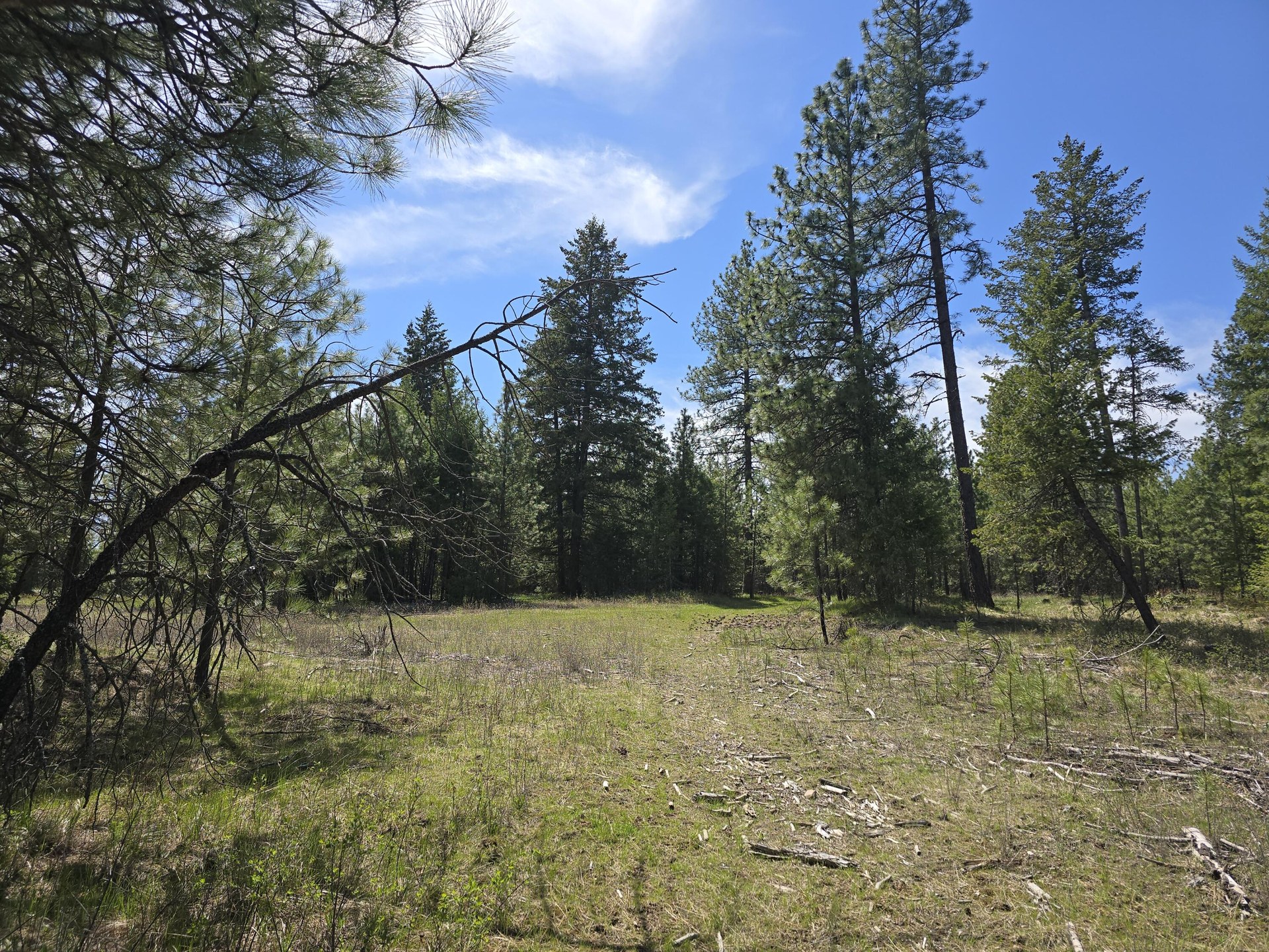 
                        Property photograph at
                        XXX W OREGON RD
                      