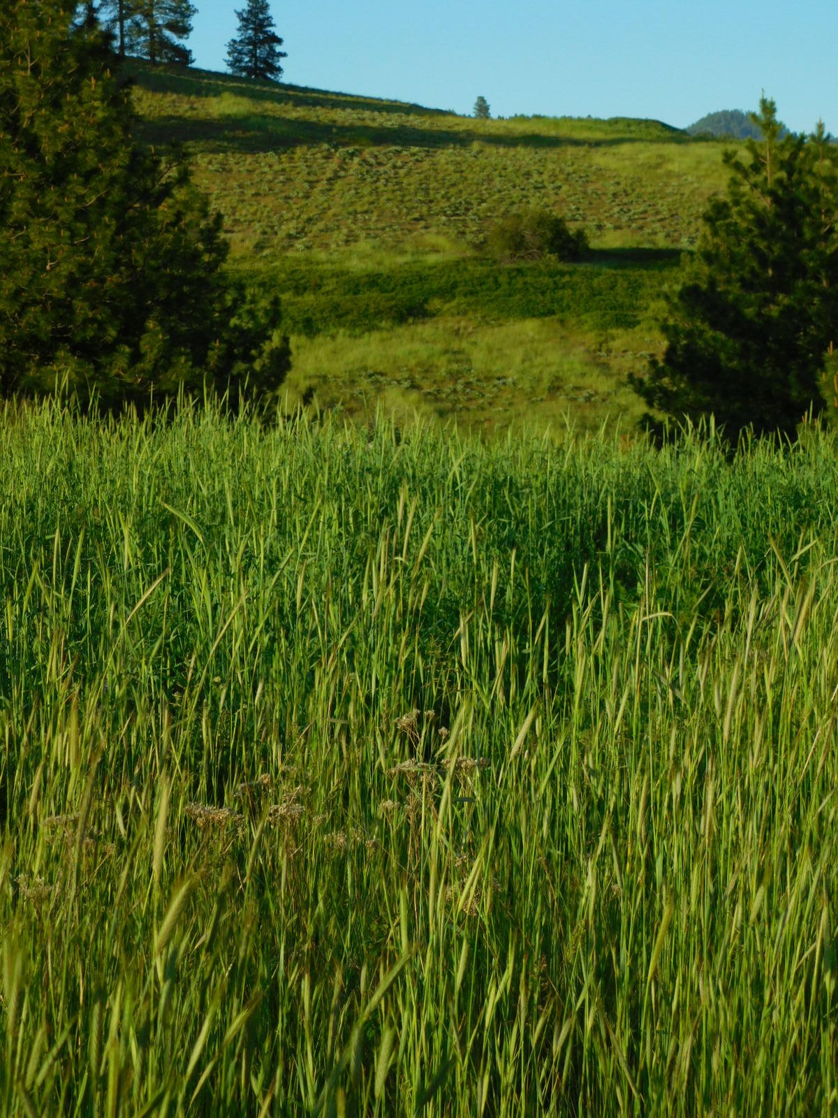 
                        Property photograph at
                        TBD SPIRIT RIDGE WAY
                      