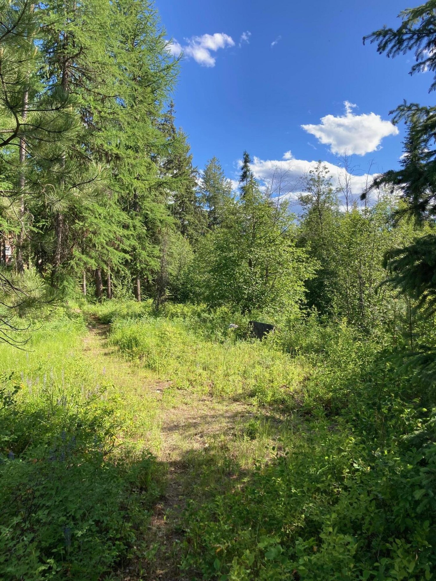 
                        Property photograph at
                        1496 Q HIGHWAY 20 E
                      