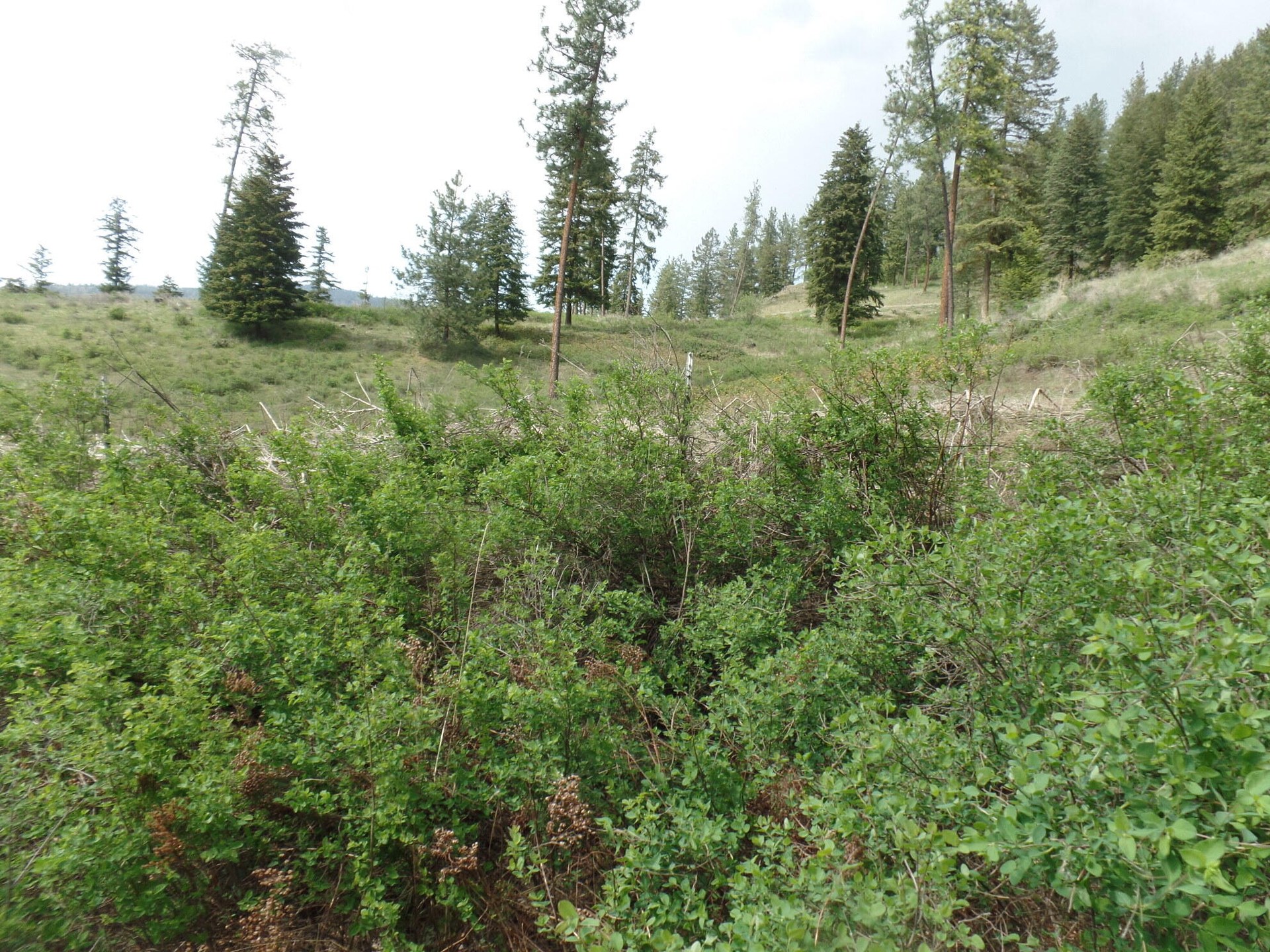 
                        Property photograph at
                        2XX HWY 395 N #A
                      