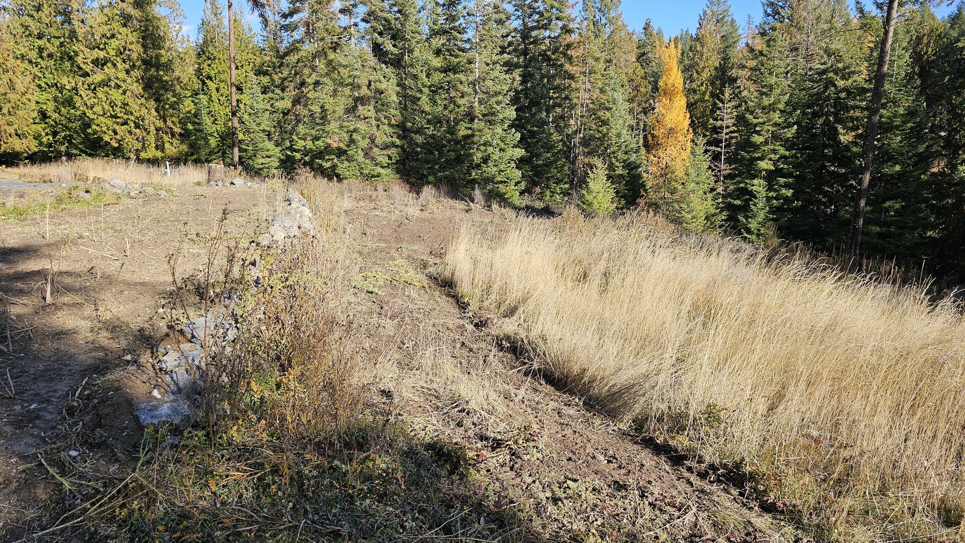 
                        Property photograph at
                        717 B FINLEY GULCH RD
                      