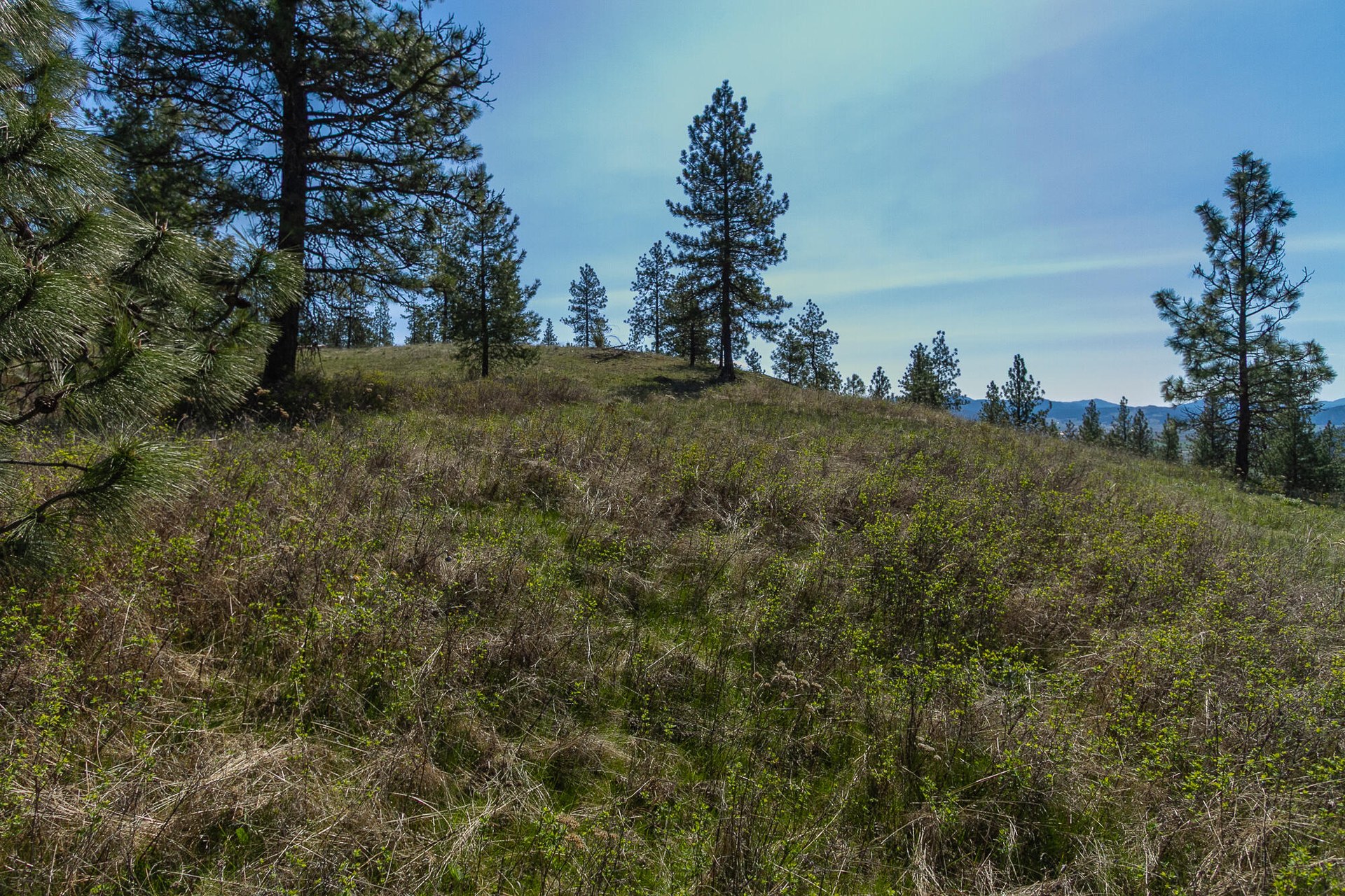 
                        Property photograph at
                        1622 PALMER LOOP
                      