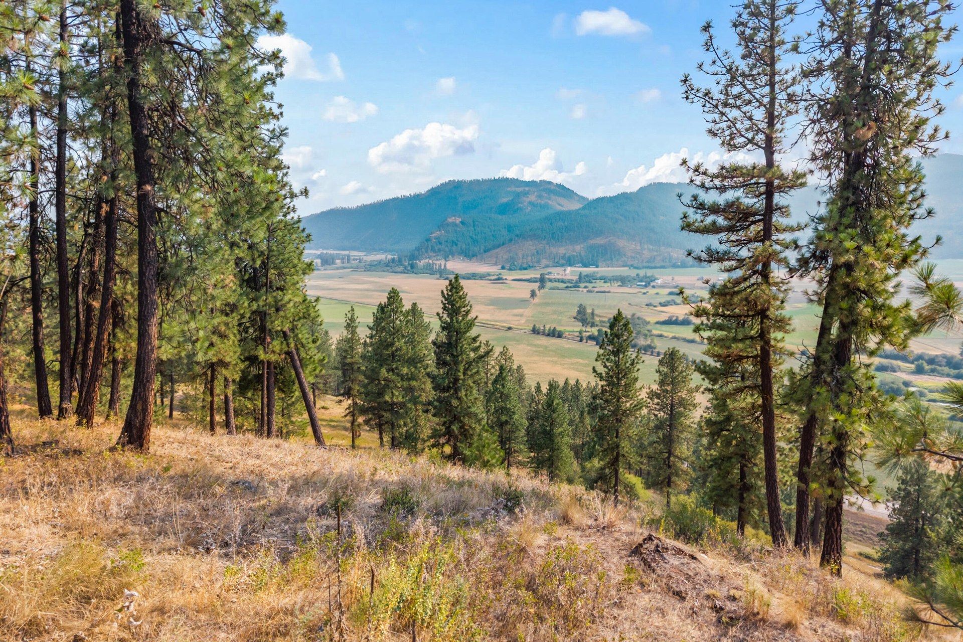 
                        Property photograph at
                        1763 HWY 395
                      