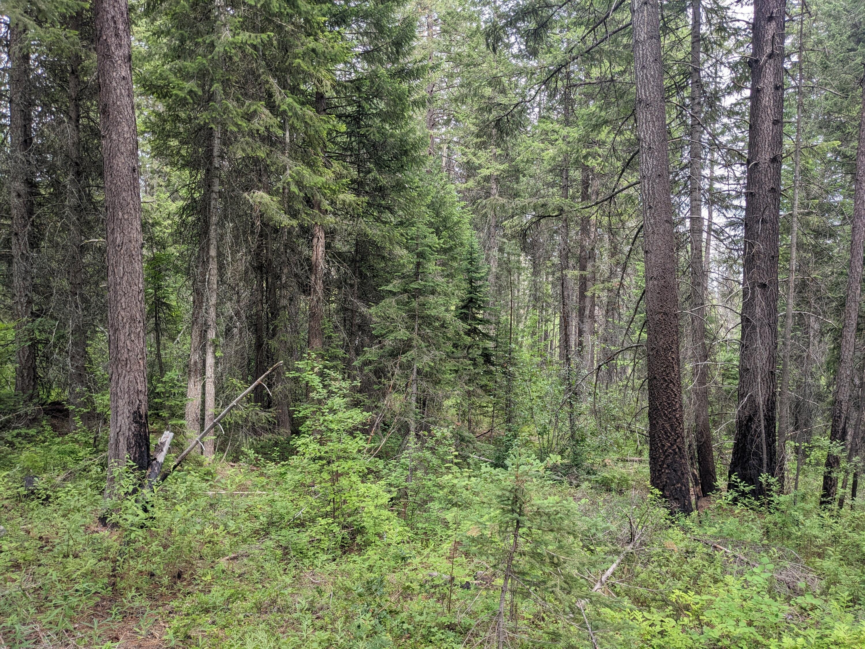 
                        Property photograph at
                        TBD BIA RD. 56
                      