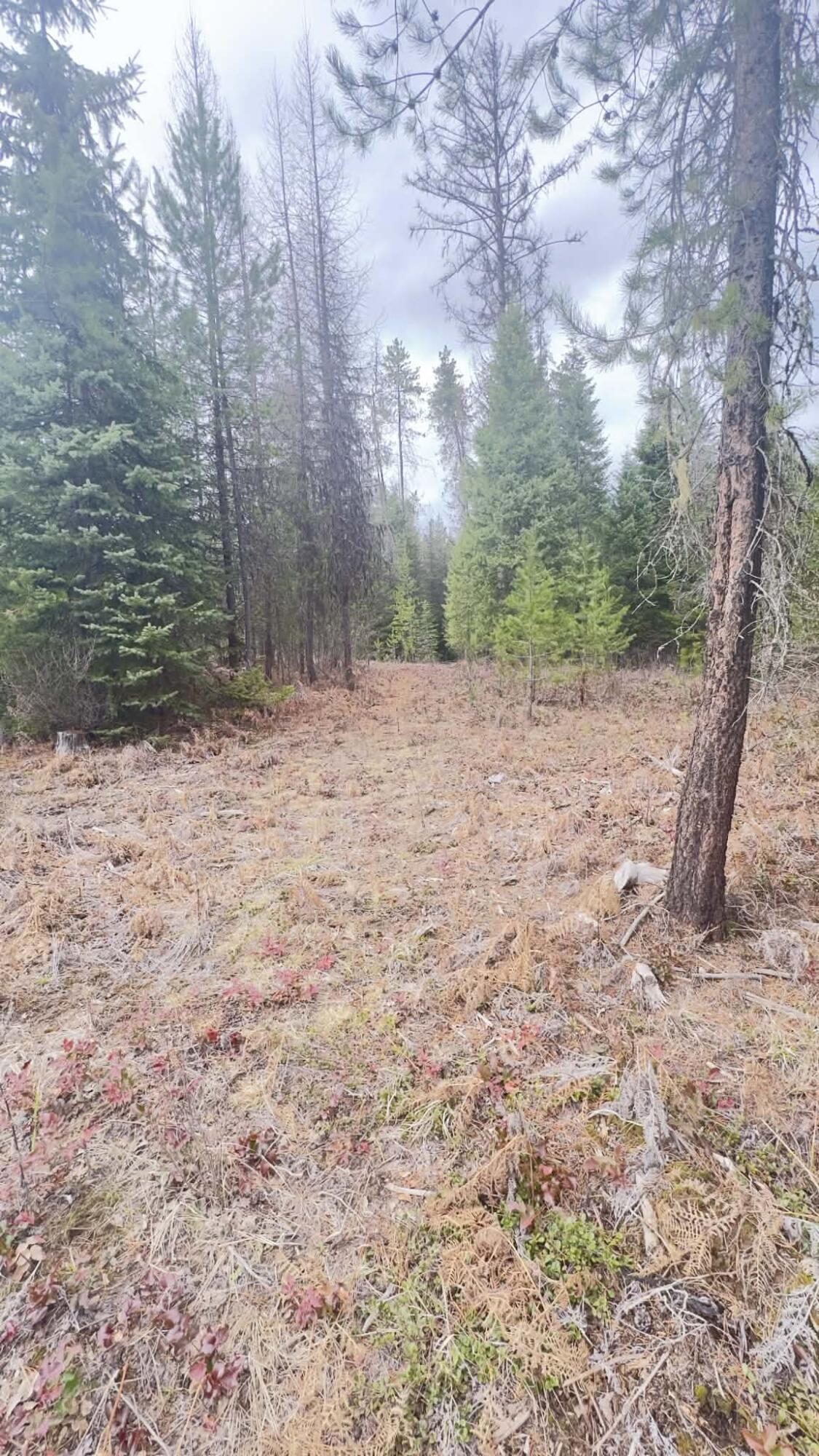 
                        Property photograph at
                        NKN WILDERNESS AVE
                      