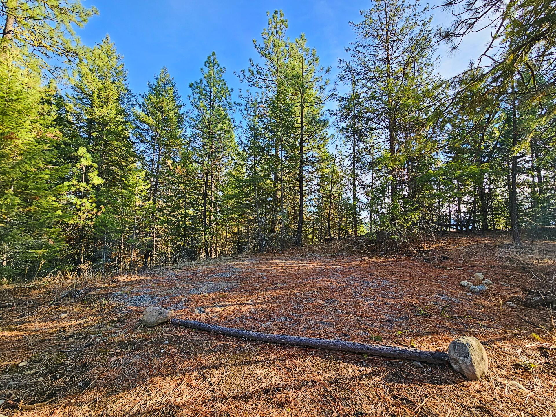 
                        Property photograph at
                        1631Q BONANZA HILL RD N
                      
