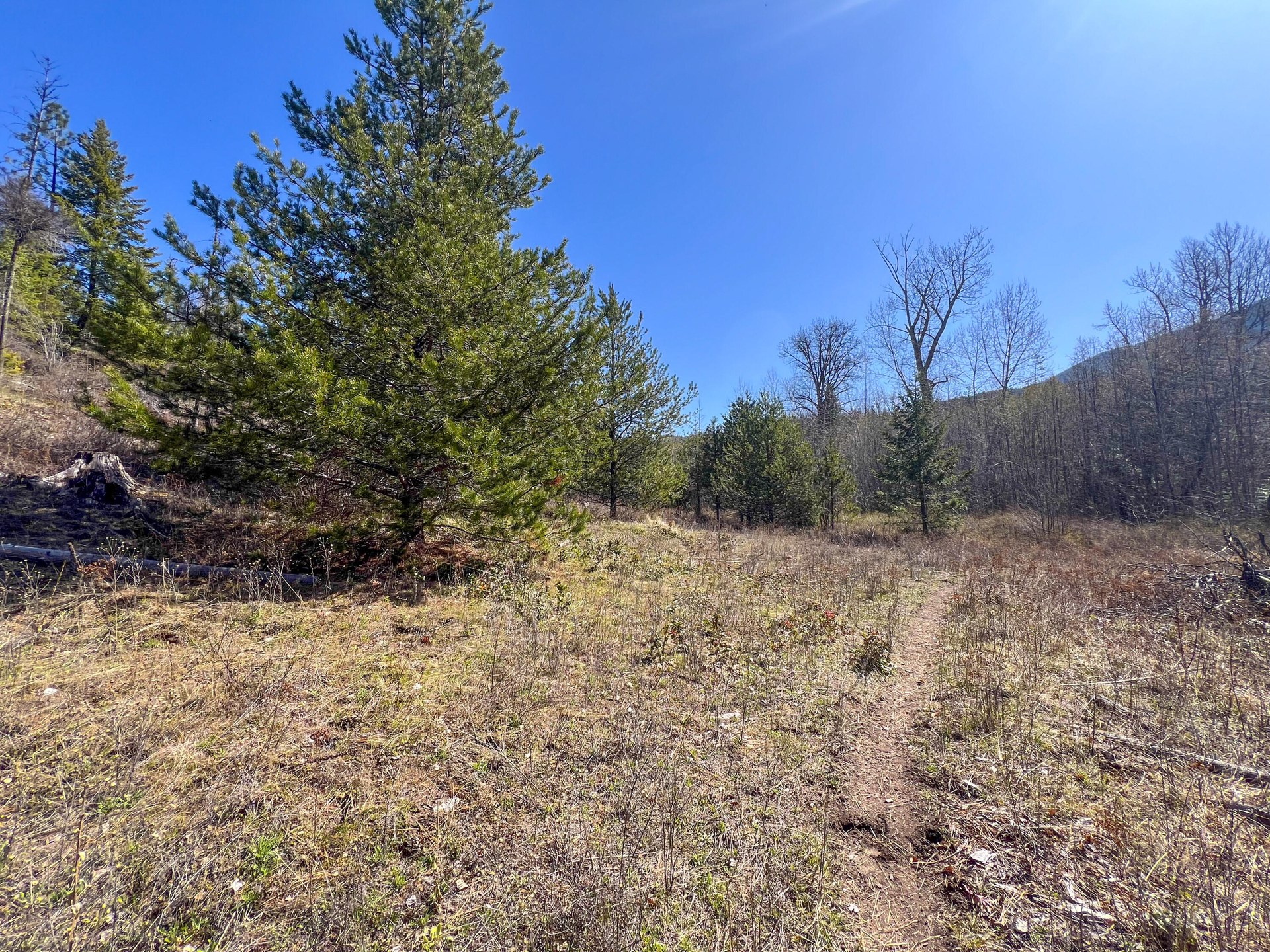 
                        Property photograph at
                        26XX FLOWERY TRAIL RD
                      