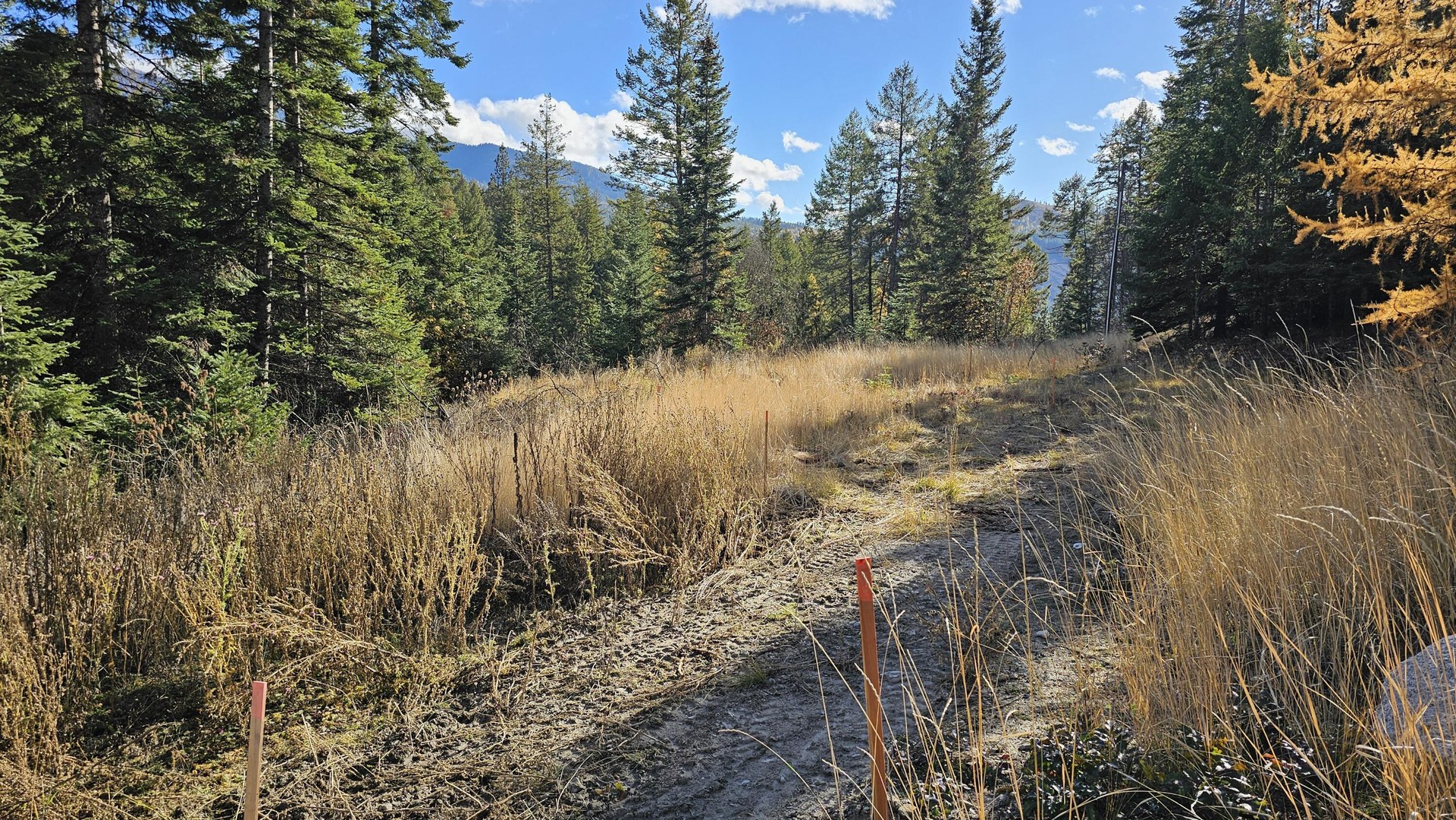 
                        Property photograph at
                        717 B FINLEY GULCH RD
                      