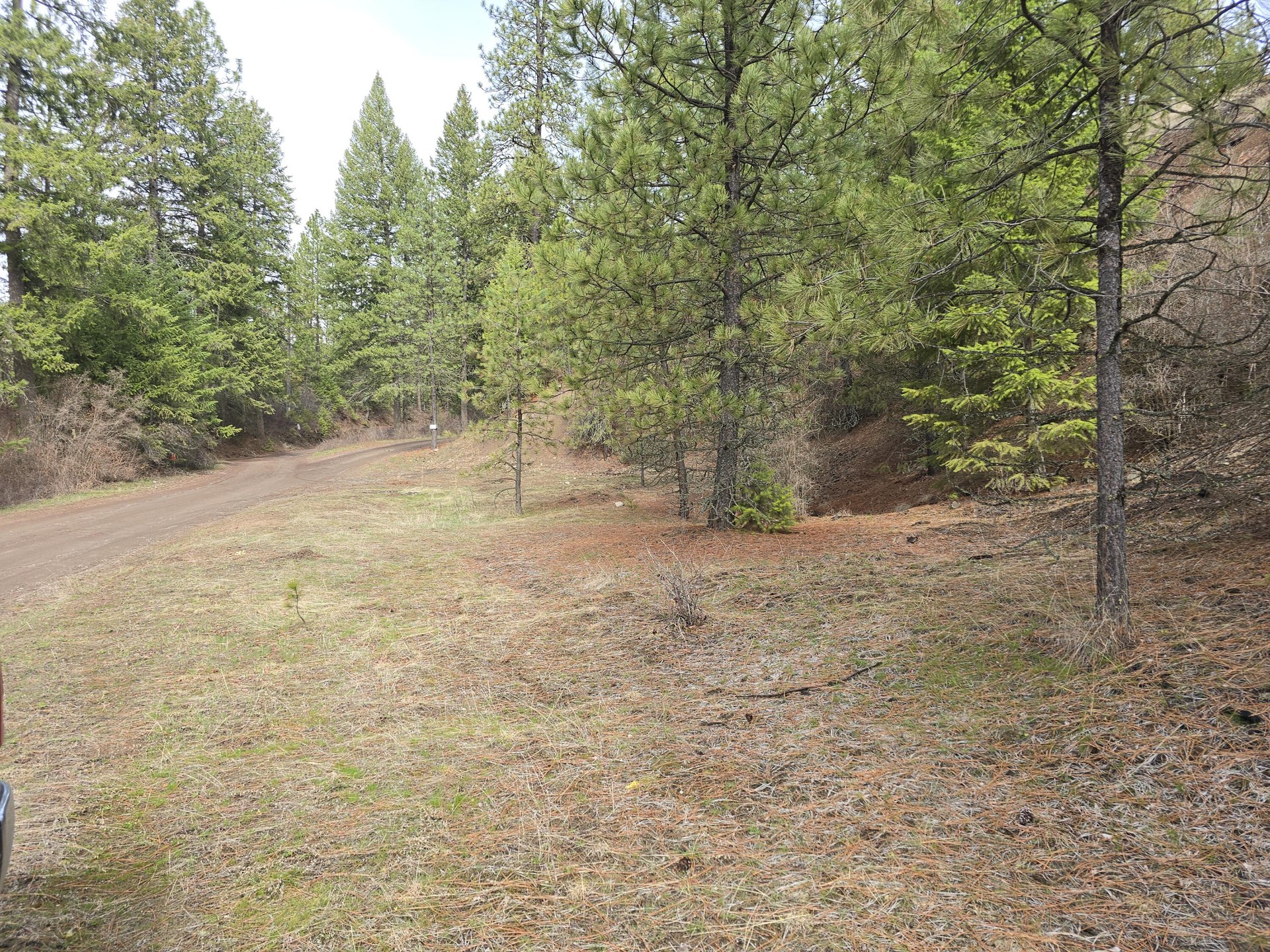 
                        Property photograph at
                        3XX GOLD CREEK RD
                      