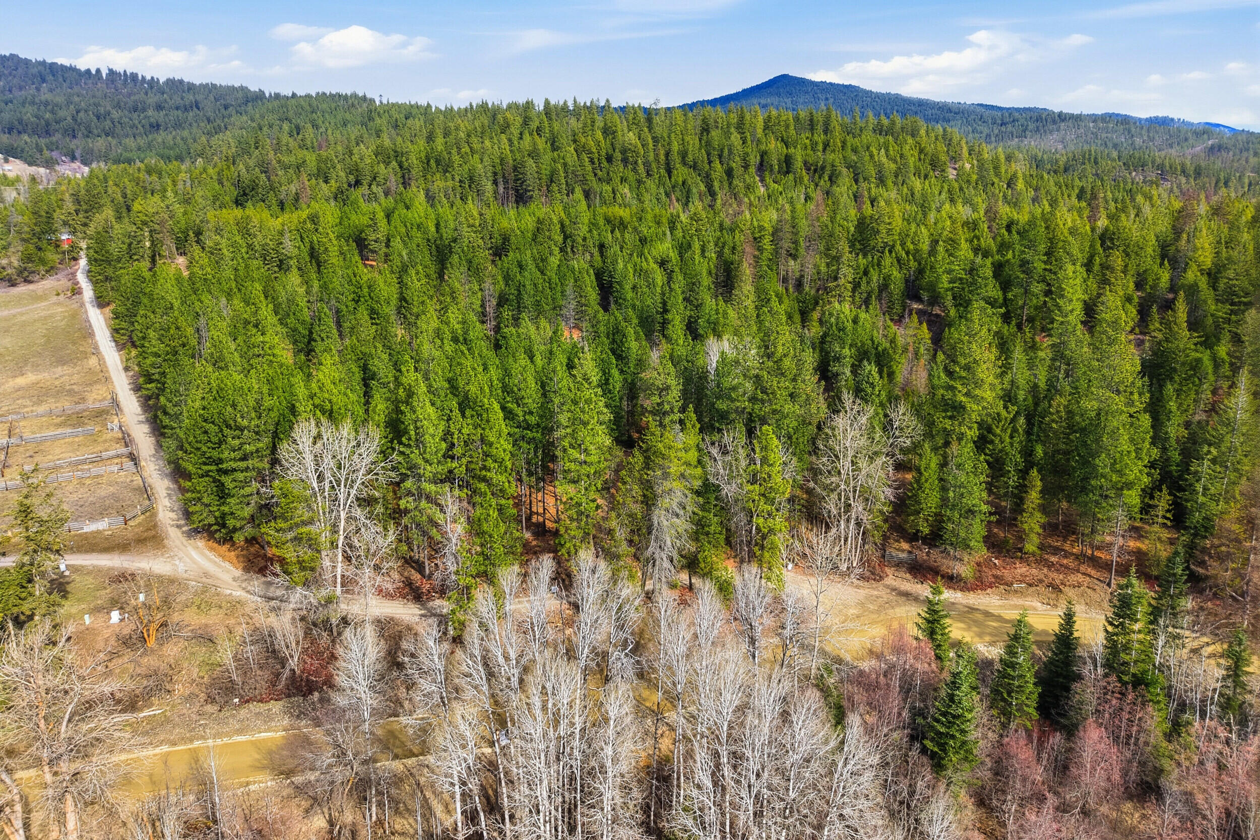 
                        Property photograph at
                        2845 BURNT VALLEY (18.5AC) RD
                      
