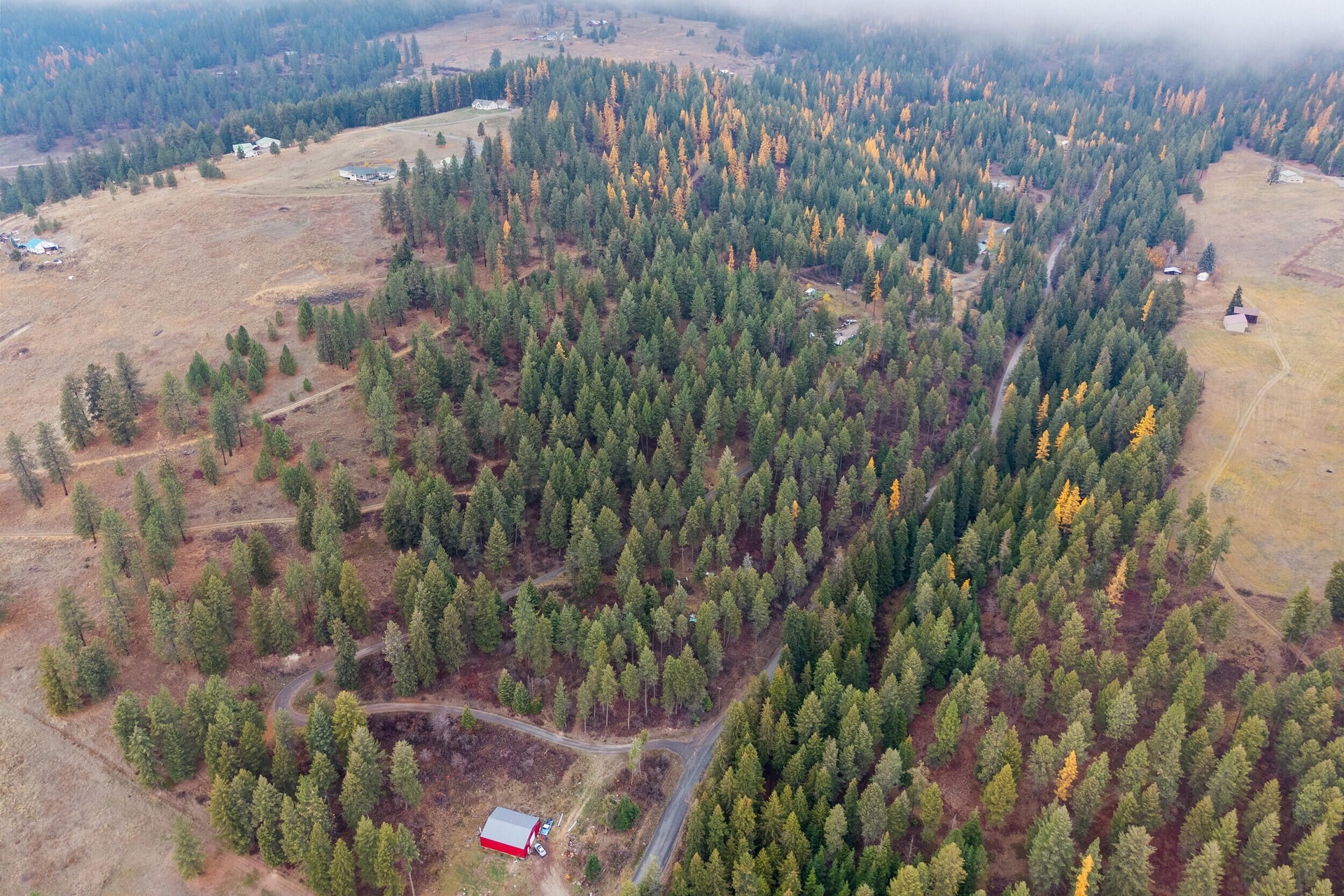
                        Property photograph at
                        717 B FINLEY GULCH RD
                      