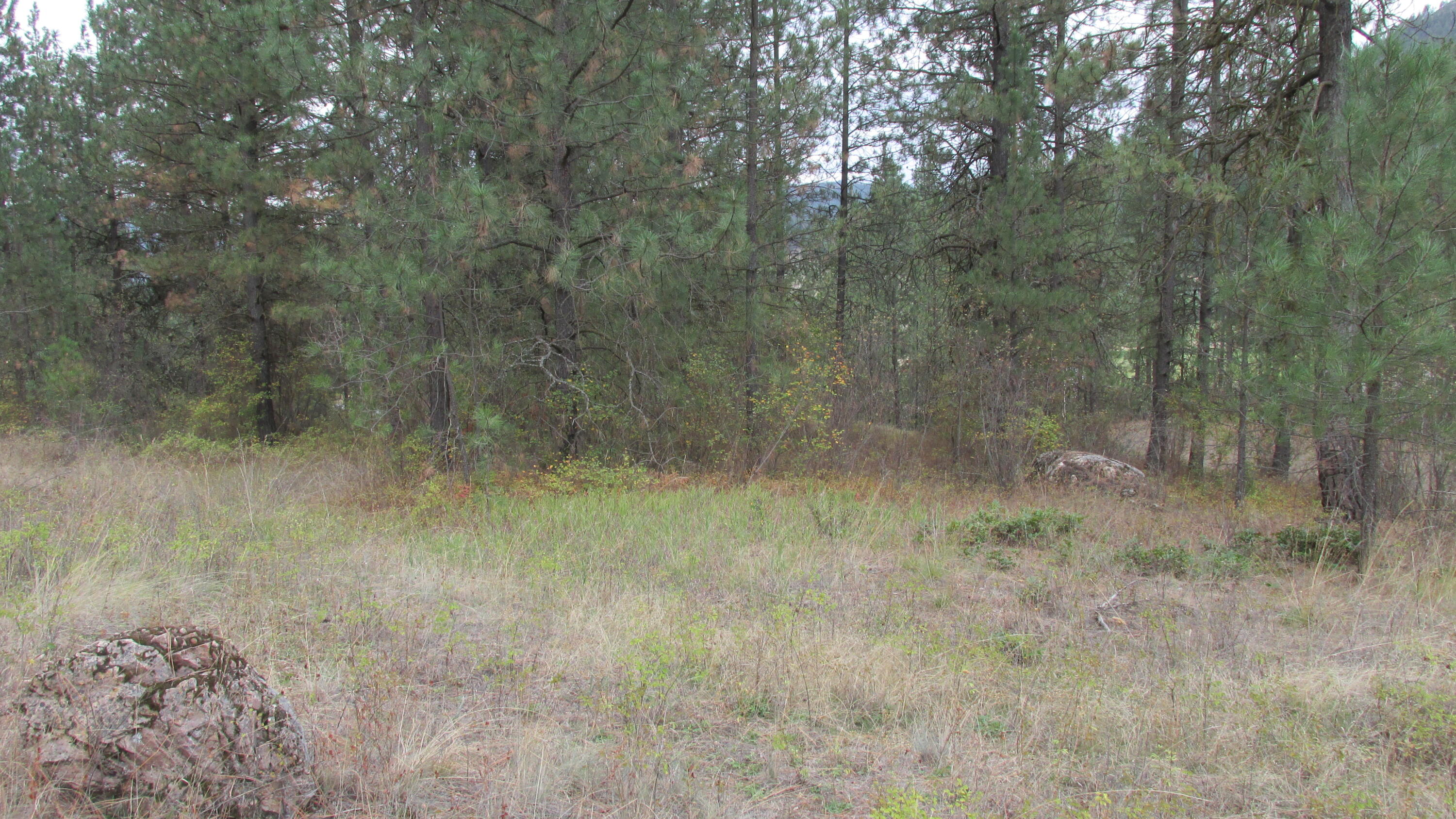 
                        Property photograph at
                        1525 HIGHWAY 395 S
                      