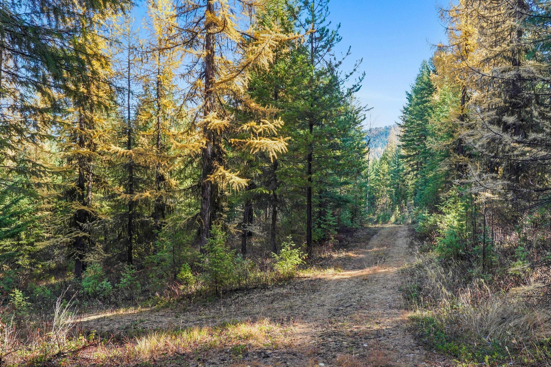 
                        Property photograph at
                        2094 CLUGSTON ONION CREEK RD
                      