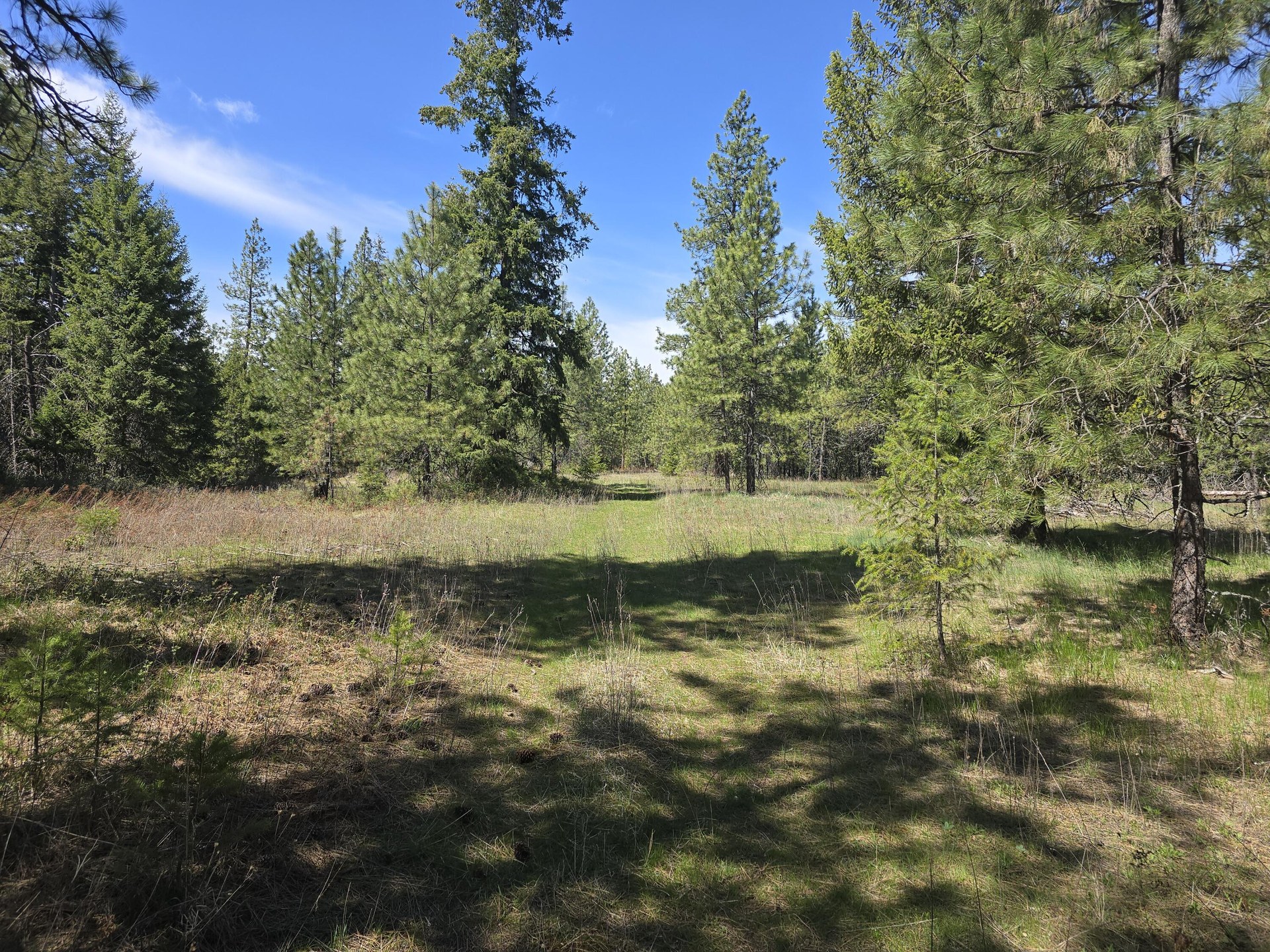 
                        Property photograph at
                        XXX W OREGON RD
                      